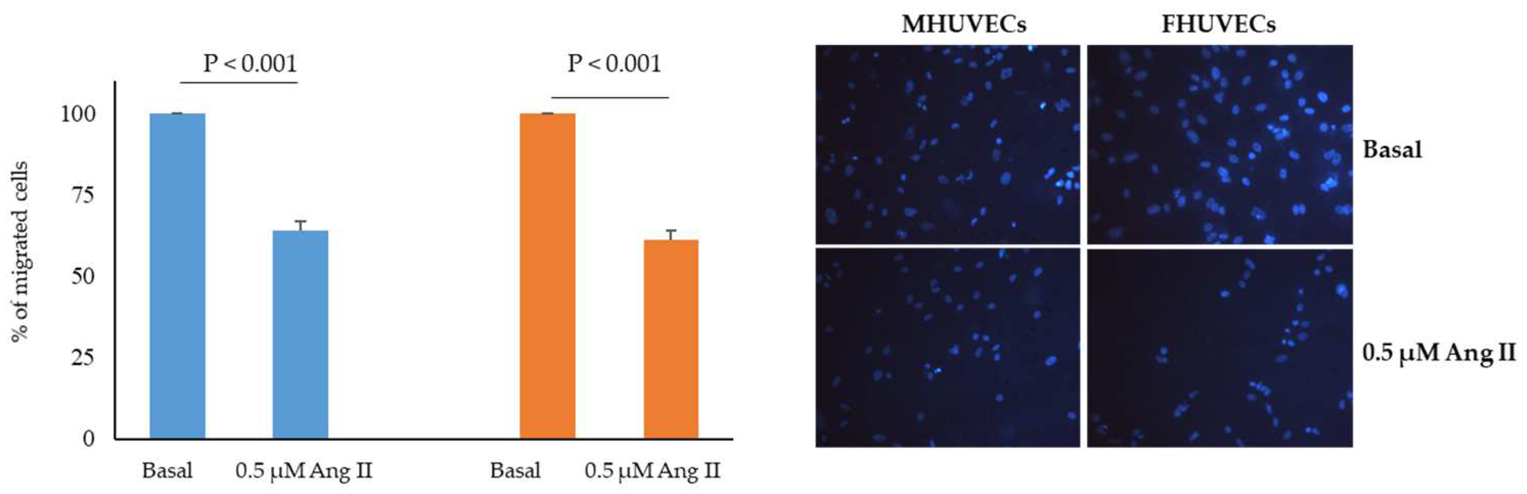 Ijms 24 14929 g002 Ijms 24 14929 g002