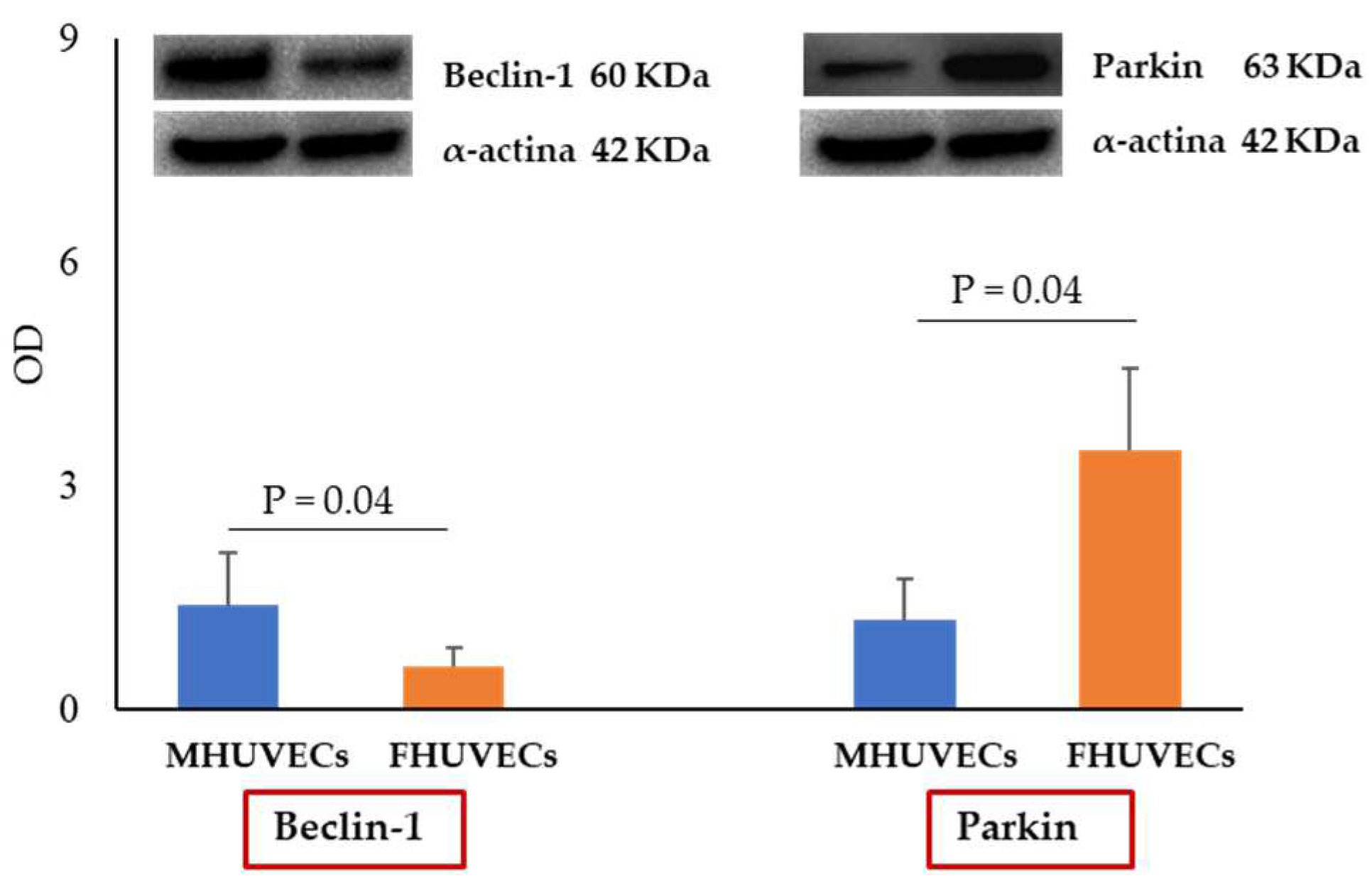 Ijms 24 14929 g003 Ijms 24 14929 g003