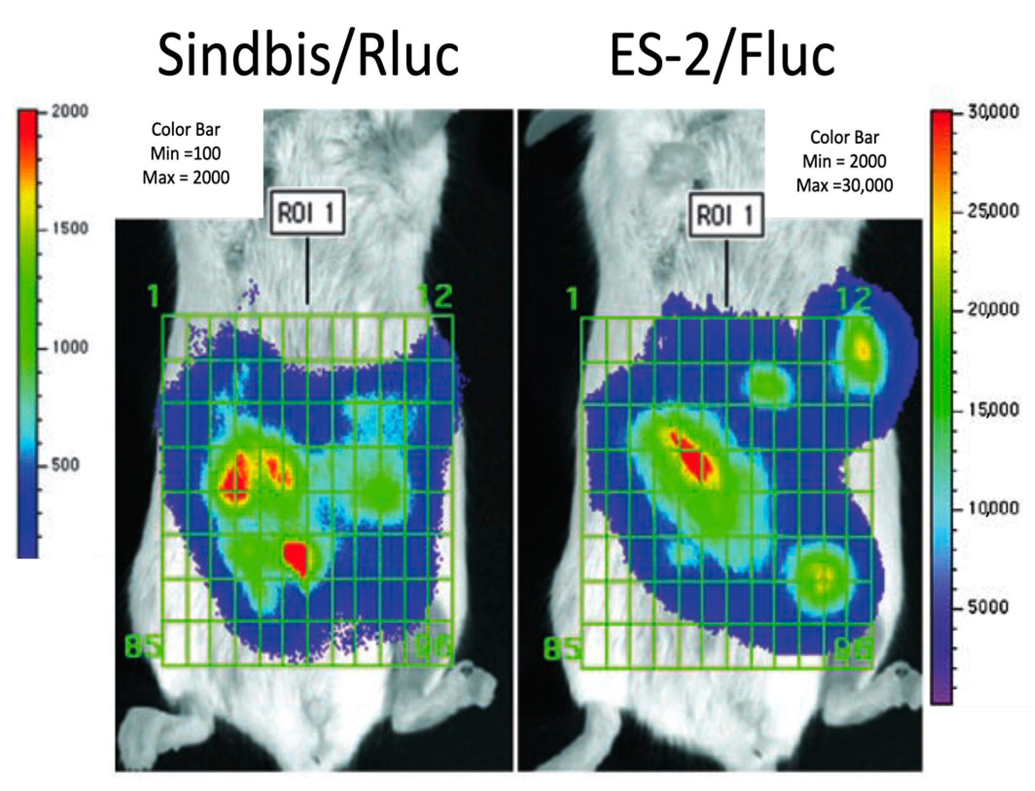 Ijms 24 14948 g002 Ijms 24 14948 g002