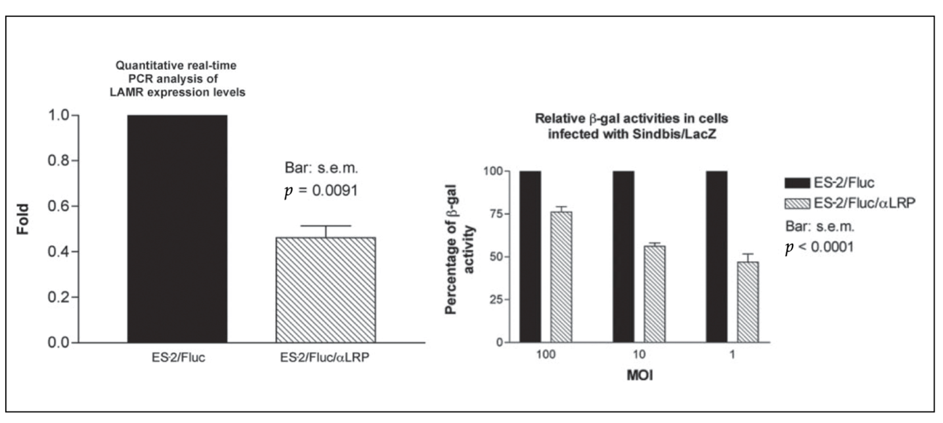 Ijms 24 14948 g003 Ijms 24 14948 g003