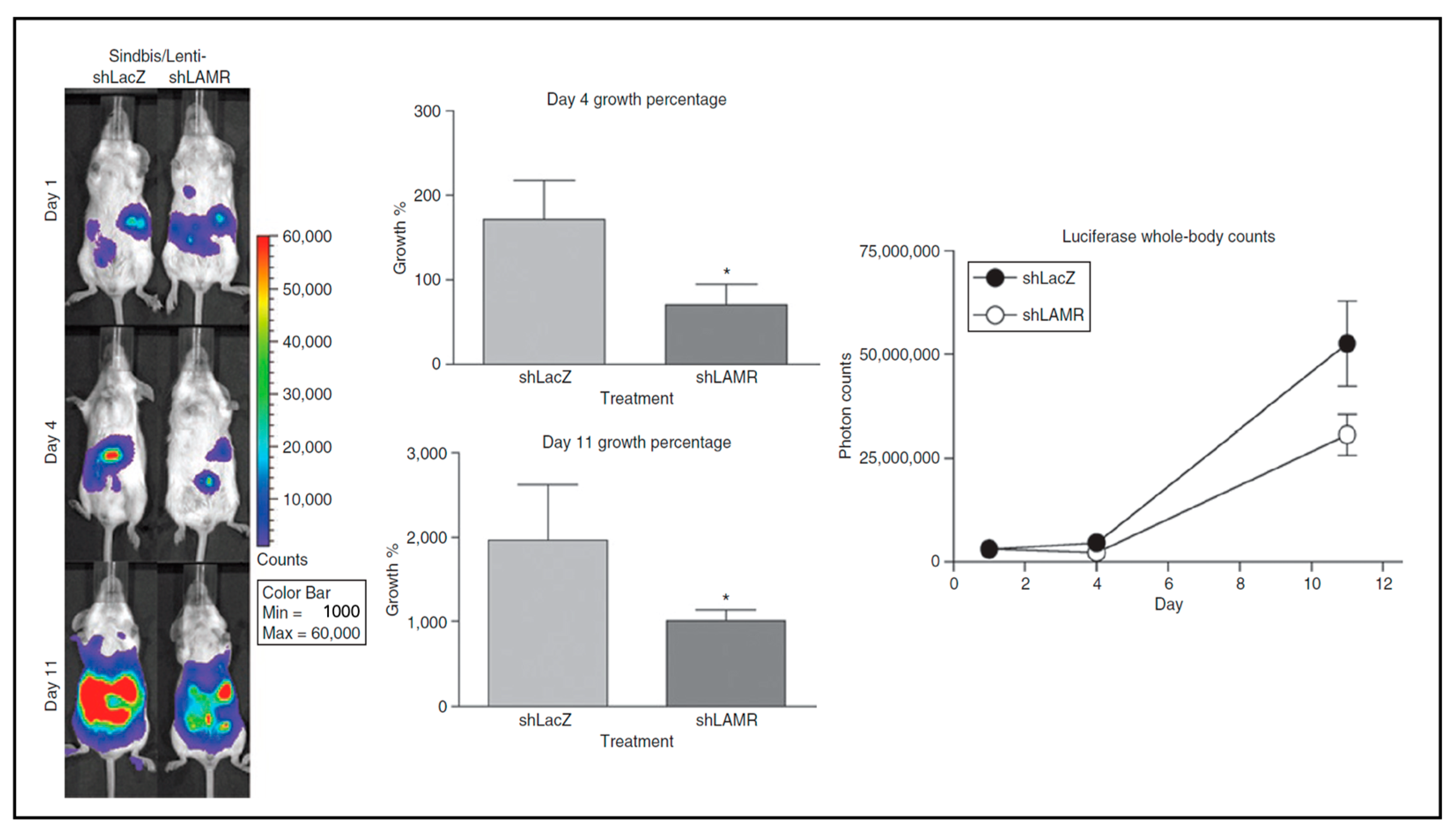 Ijms 24 14948 g005 Ijms 24 14948 g005