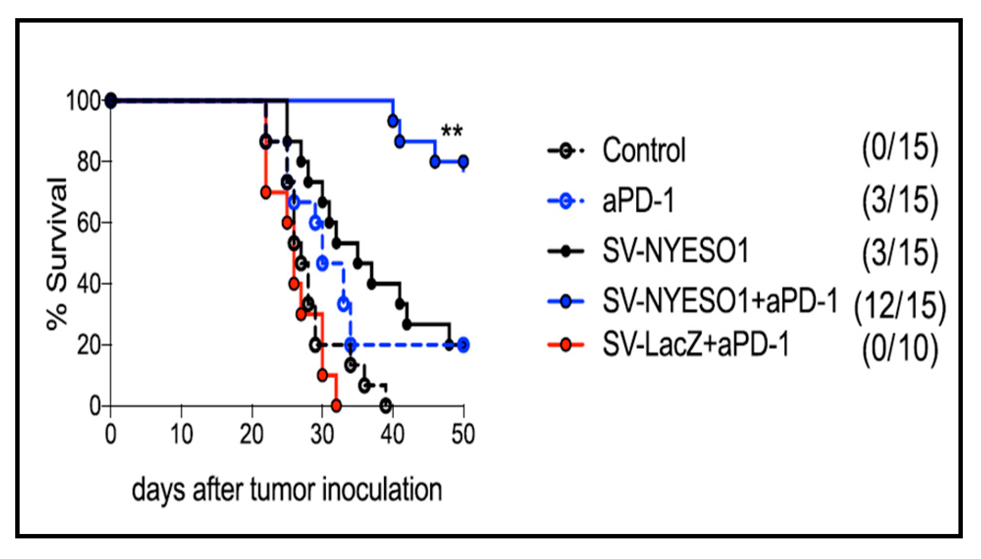 Ijms 24 14948 g006 Ijms 24 14948 g006