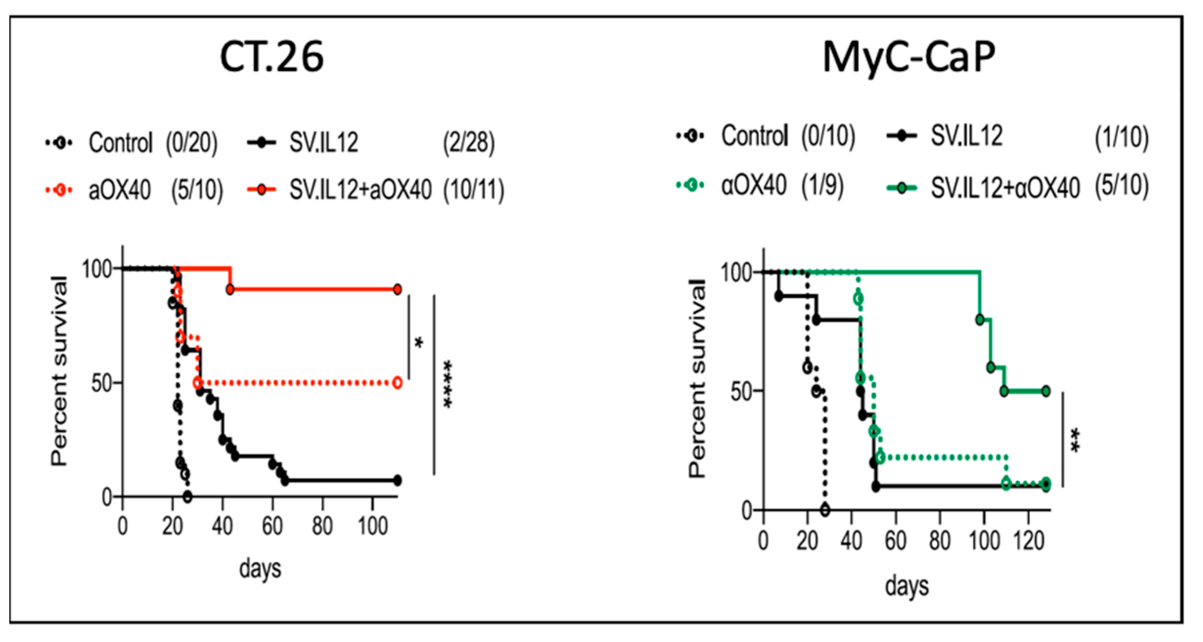 Ijms 24 14948 g008 Ijms 24 14948 g008