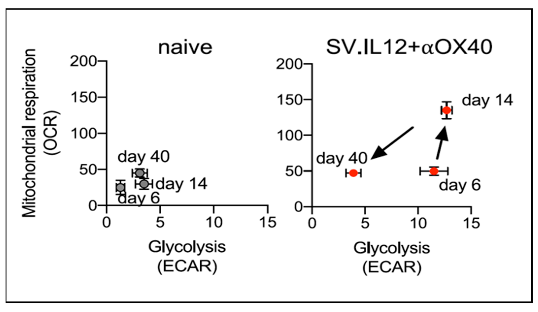 Ijms 24 14948 g009 Ijms 24 14948 g009