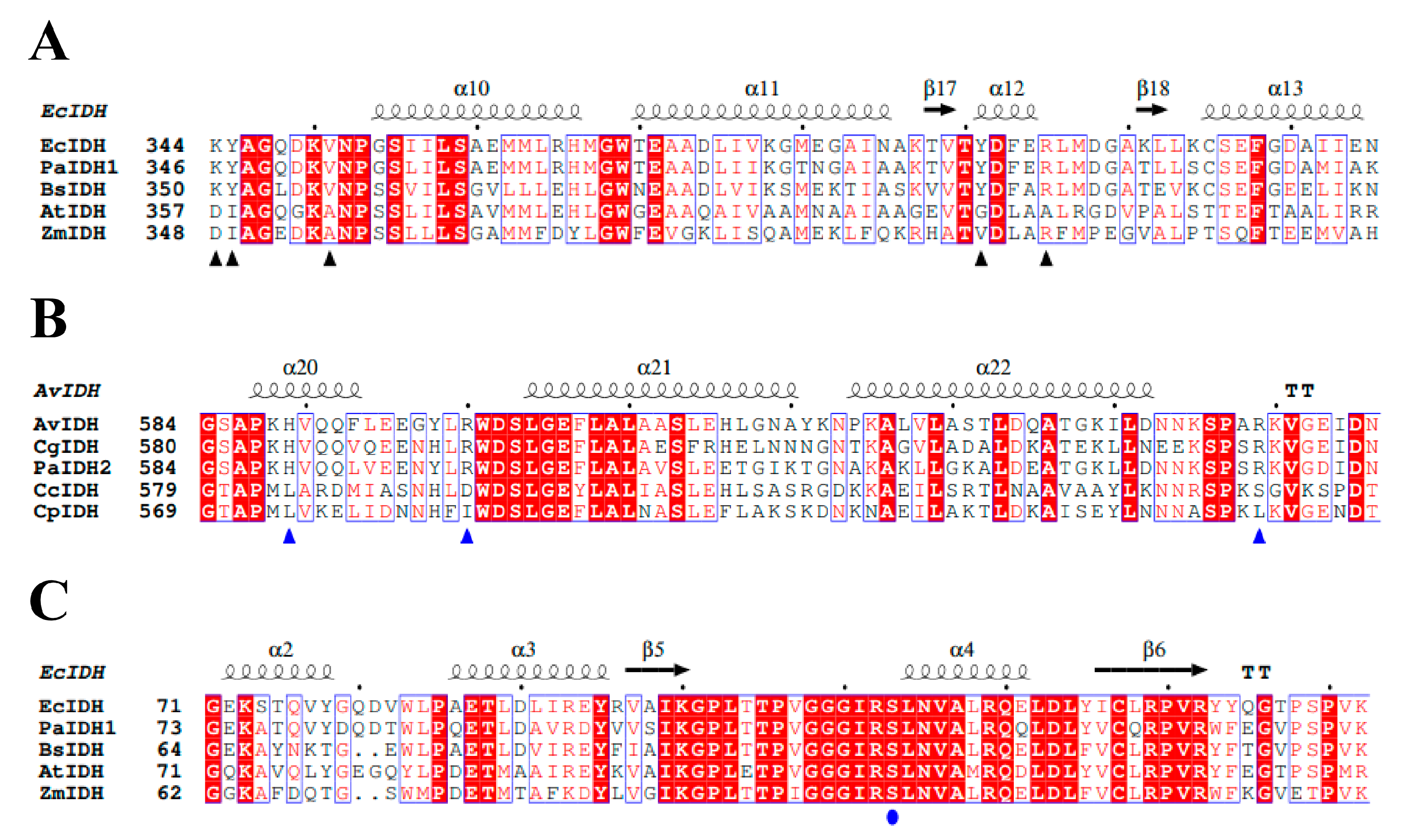 Ijms 24 14985 g001 Ijms 24 14985 g001