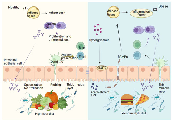 A Metabolite Perspective on the Involvement of the Gut