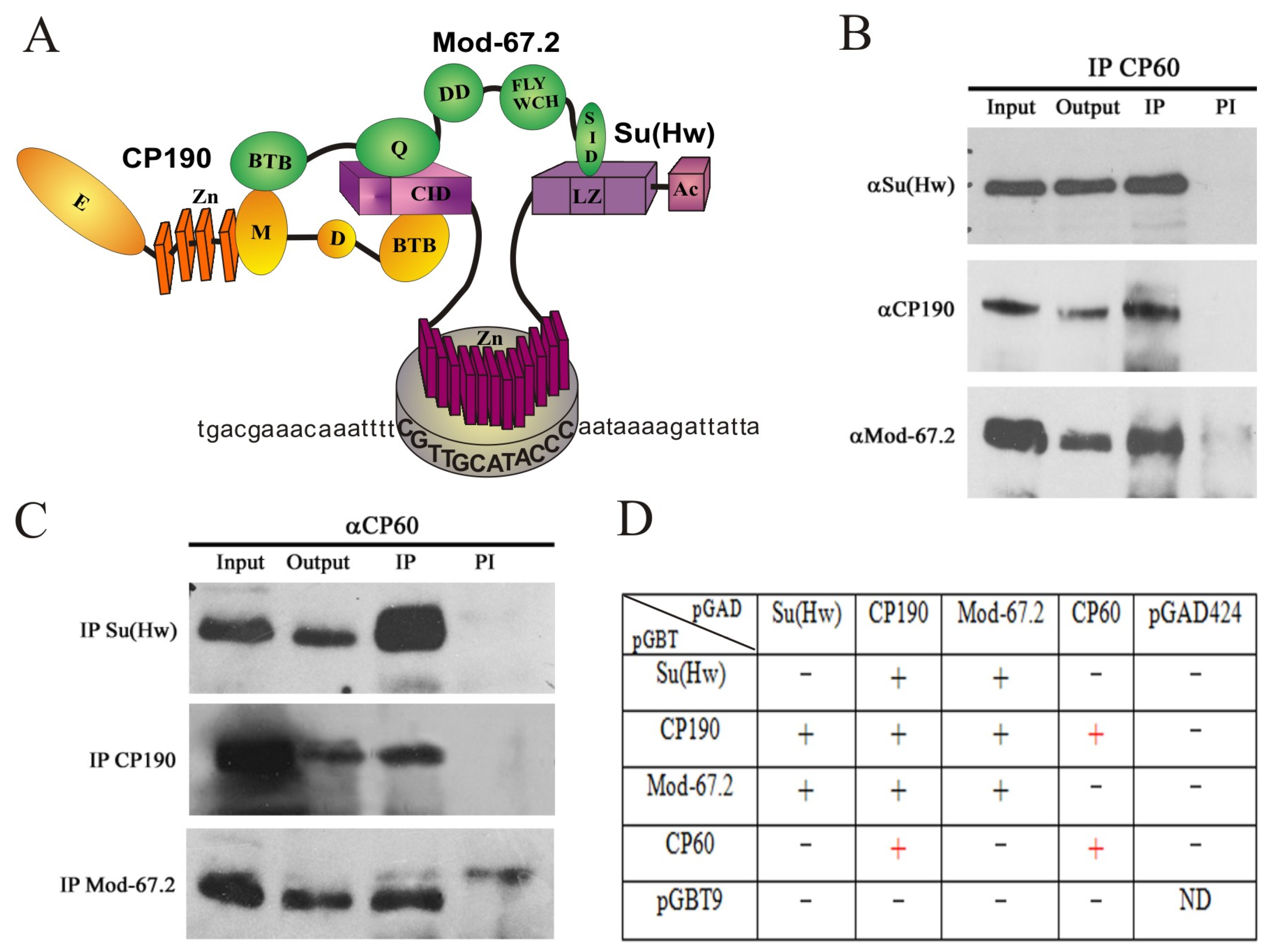Ijms 24 15029 g001 Ijms 24 15029 g001