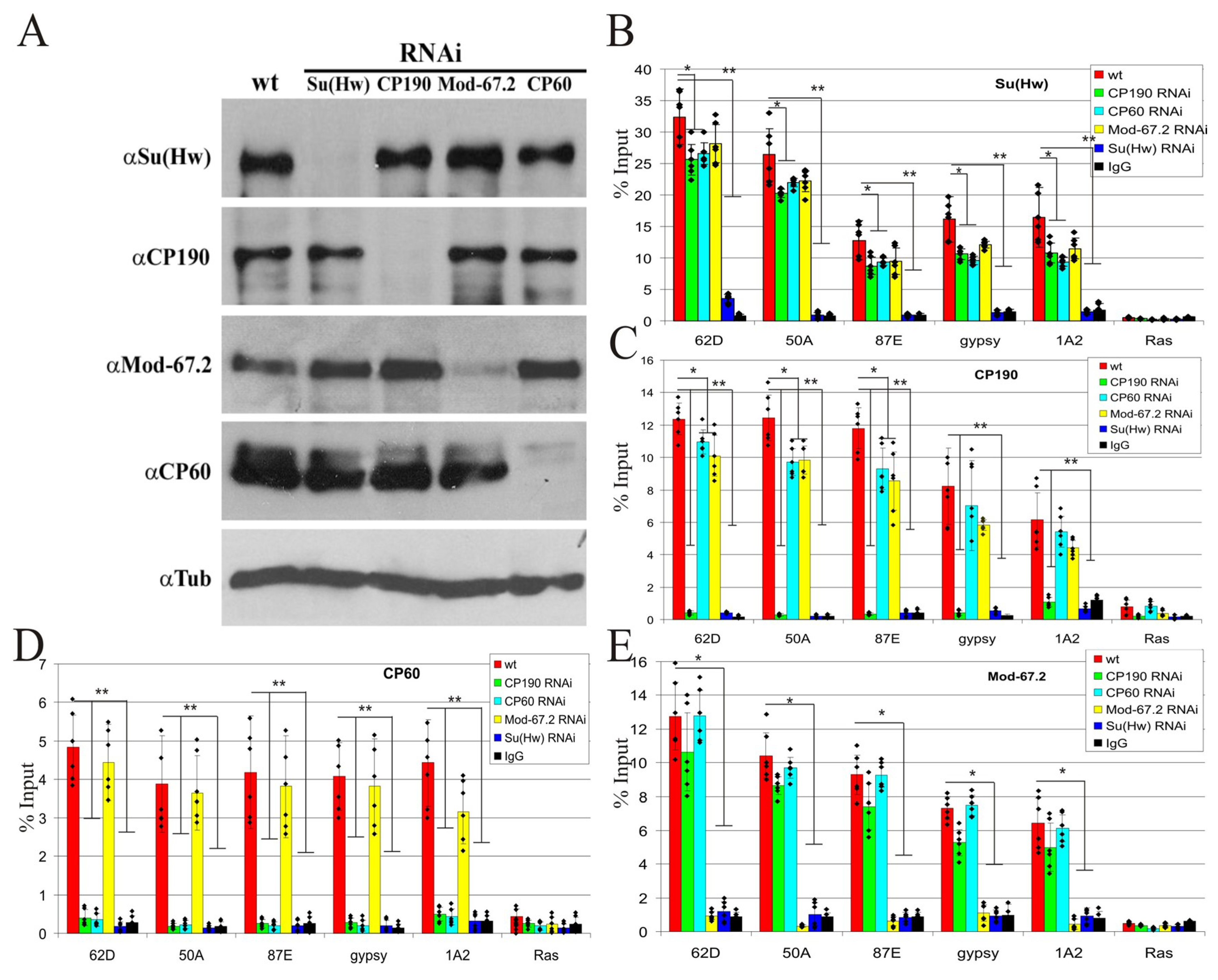 Ijms 24 15029 g002 Ijms 24 15029 g002