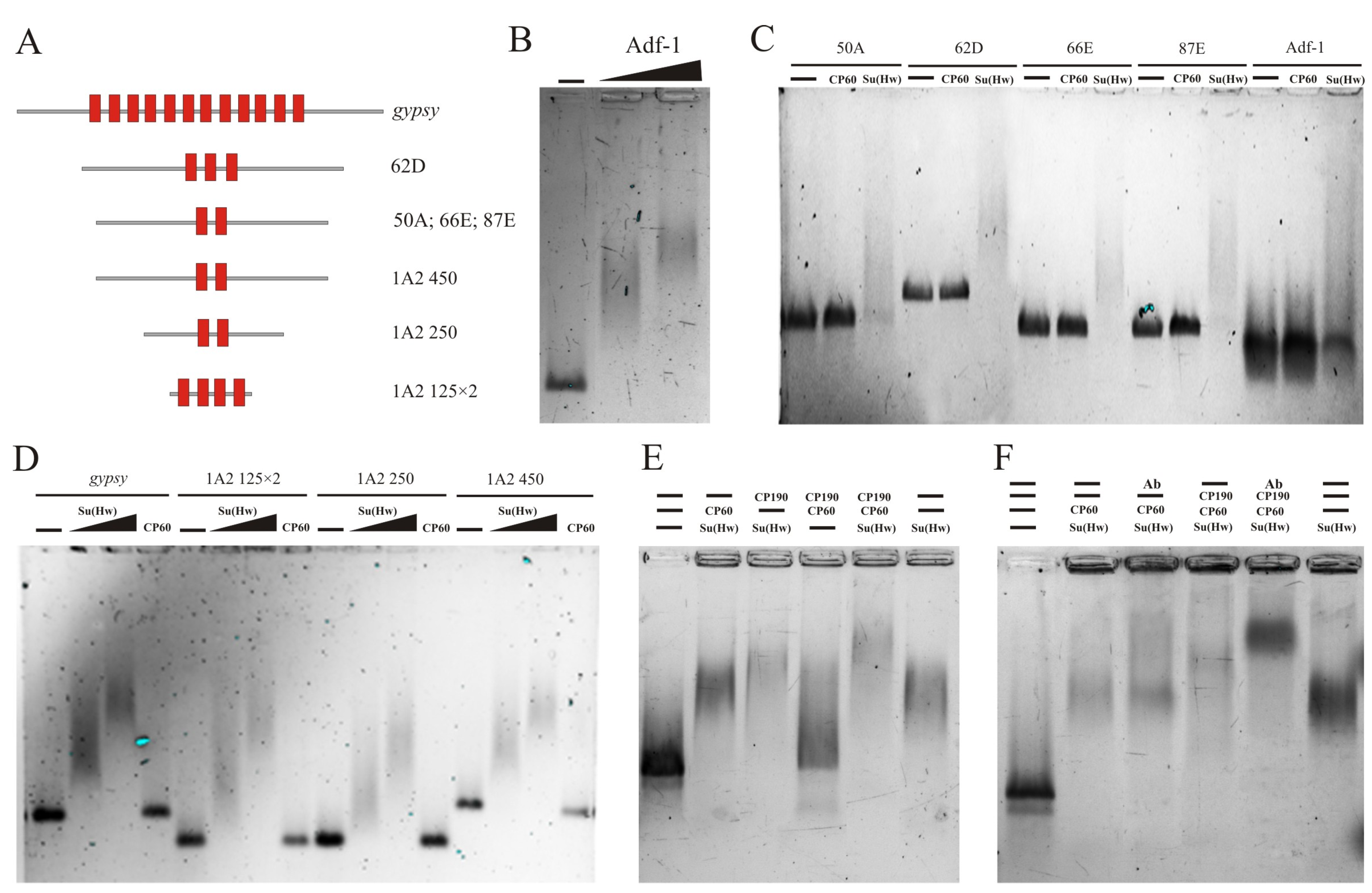 Ijms 24 15029 g003 Ijms 24 15029 g003