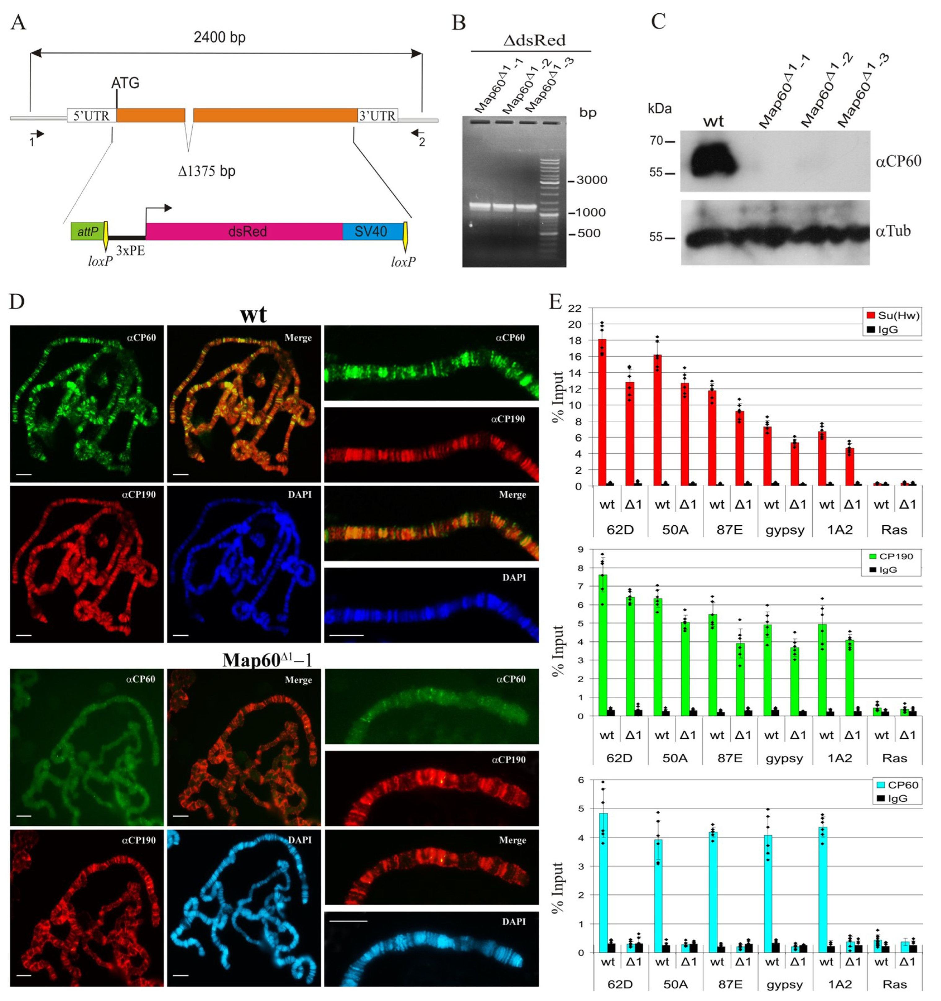 Ijms 24 15029 g006 Ijms 24 15029 g006