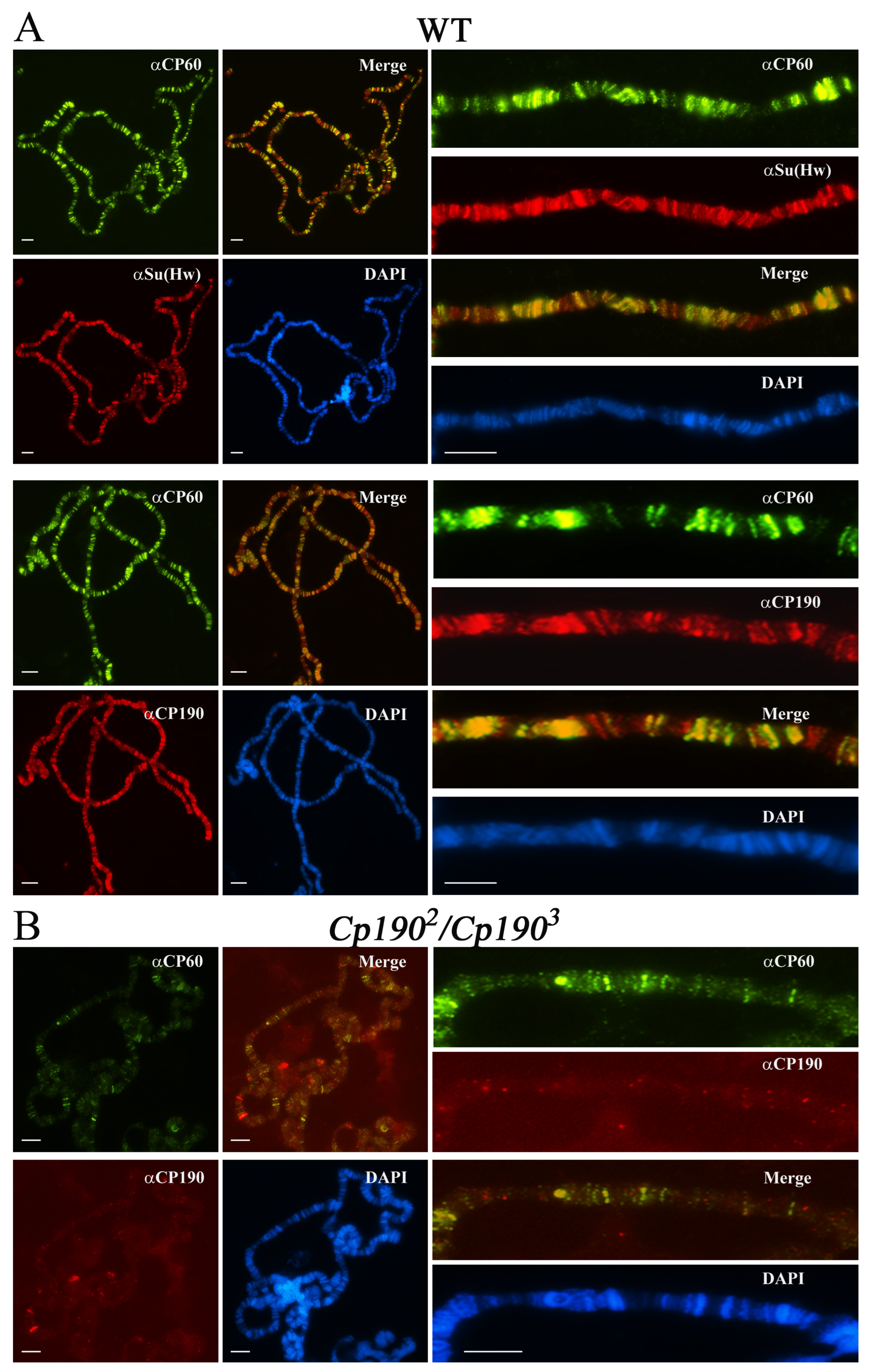 Ijms 24 15029 g007 Ijms 24 15029 g007