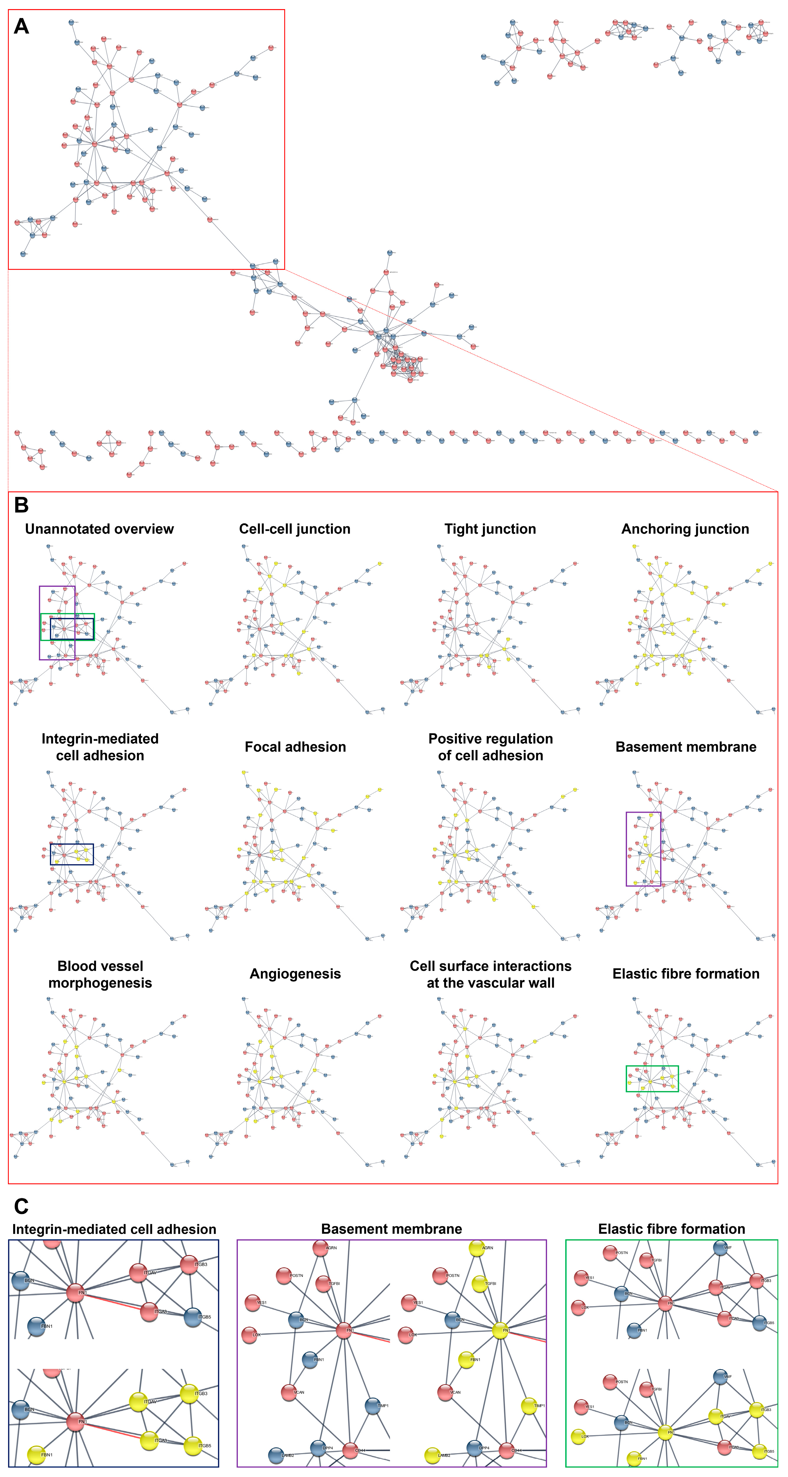 Ijms 24 15032 g005 Ijms 24 15032 g005