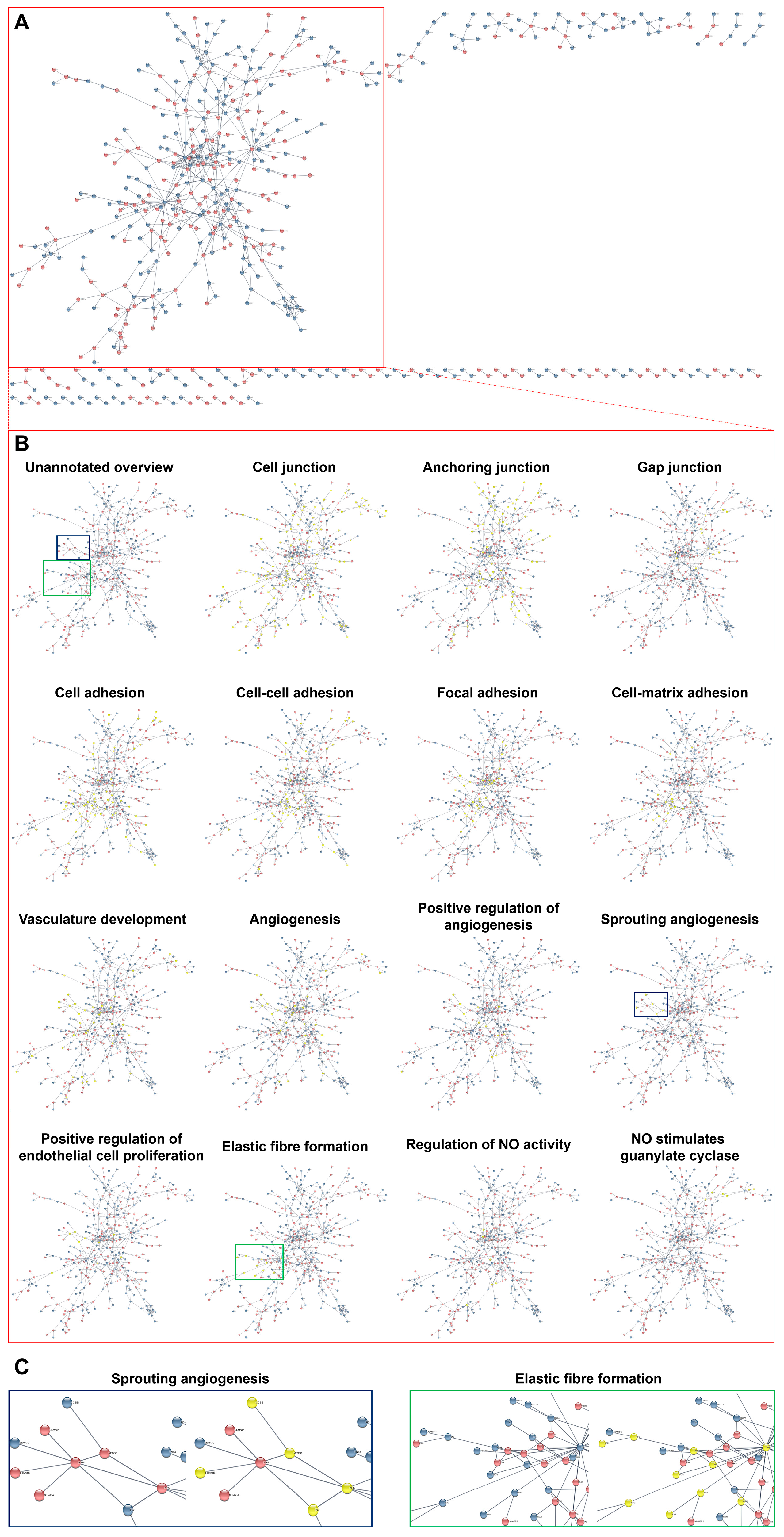 Ijms 24 15032 g006 Ijms 24 15032 g006