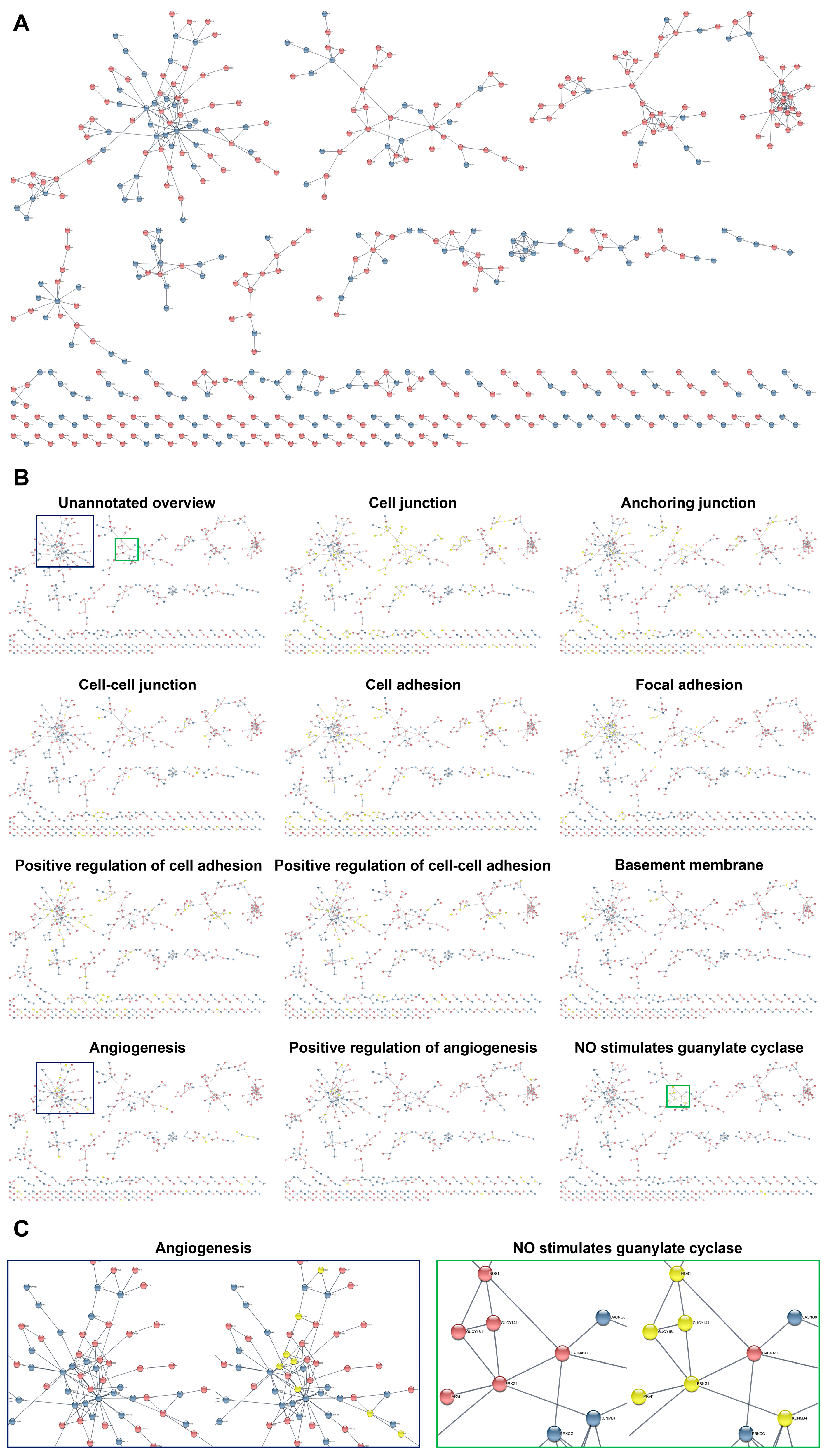 Ijms 24 15032 g007 Ijms 24 15032 g007