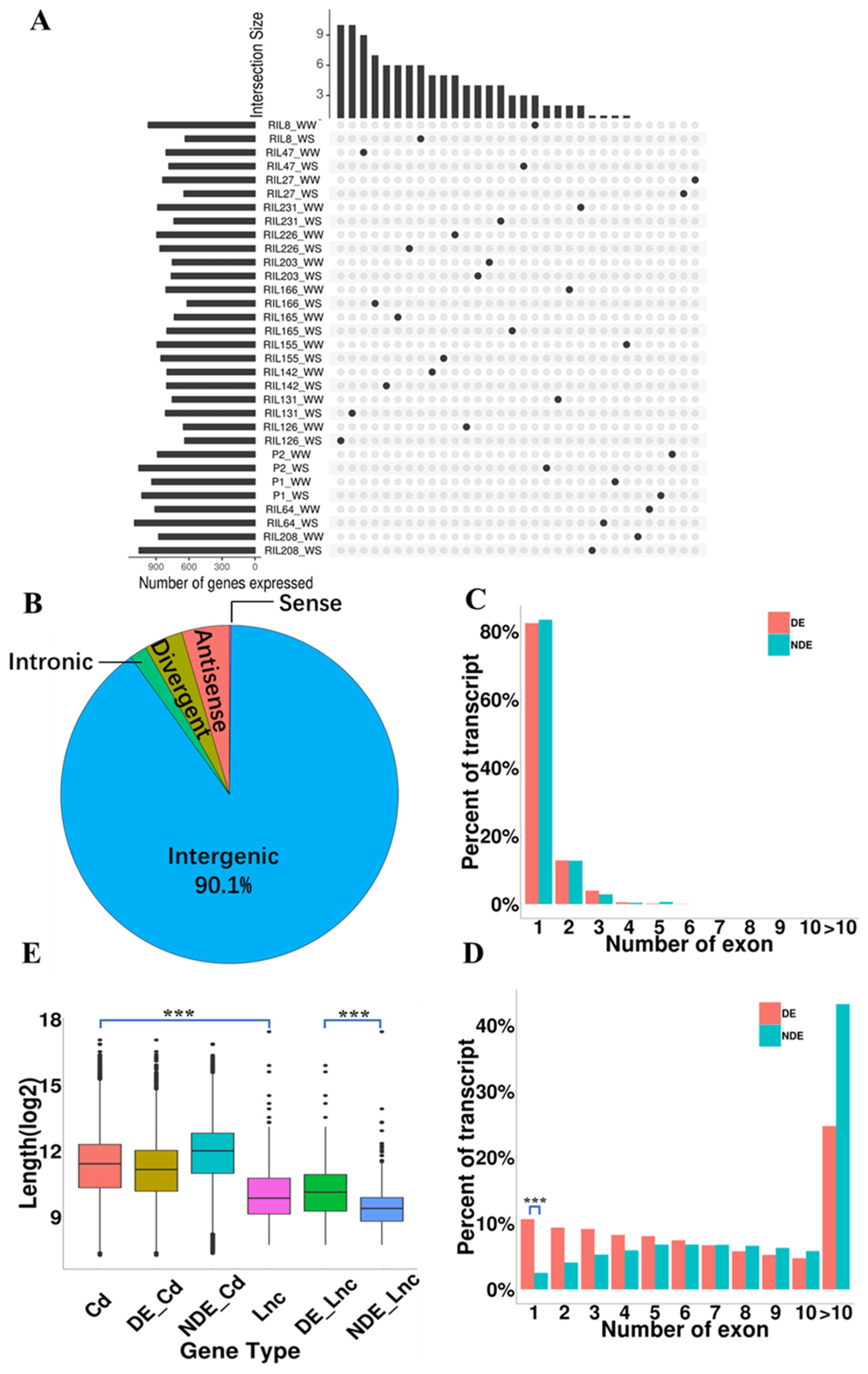 Ijms 24 15039 g001 Ijms 24 15039 g001