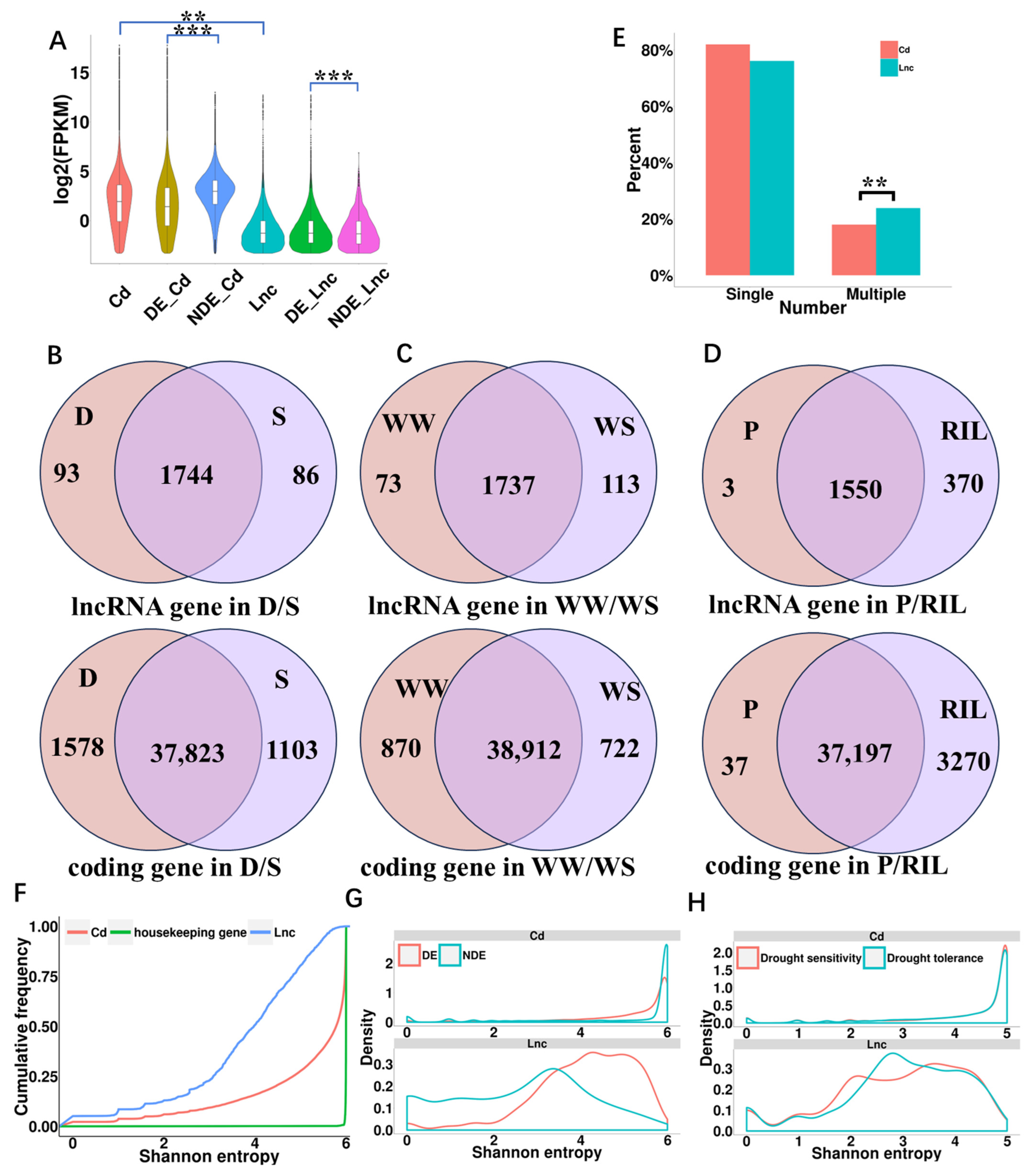 Ijms 24 15039 g002 Ijms 24 15039 g002
