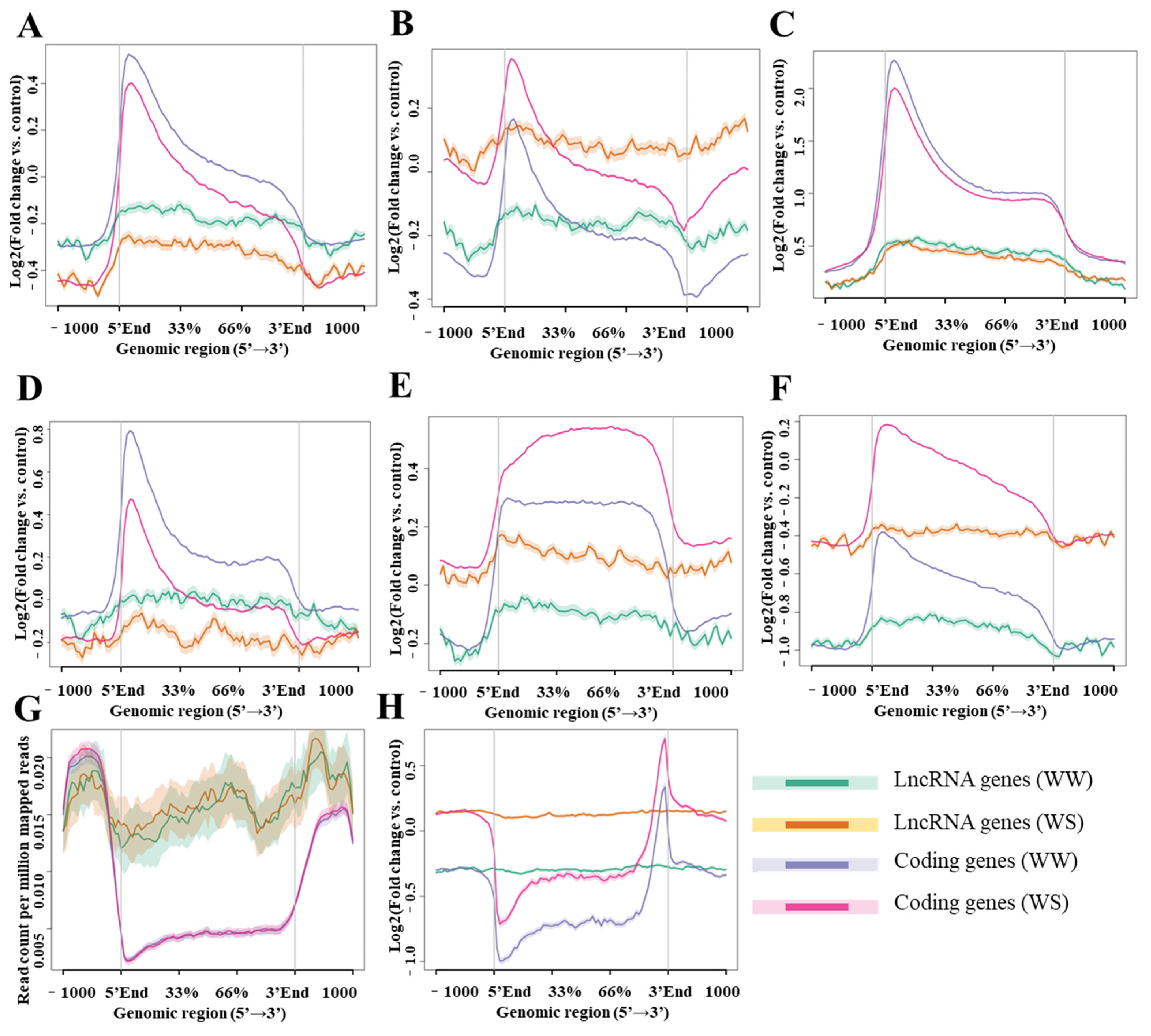 Ijms 24 15039 g004 Ijms 24 15039 g004