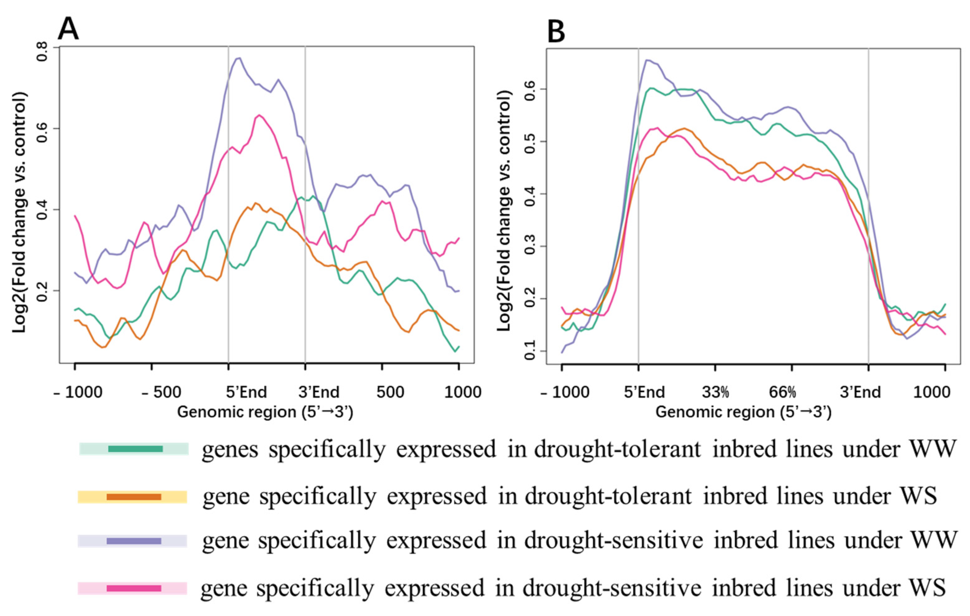 Ijms 24 15039 g005 Ijms 24 15039 g005