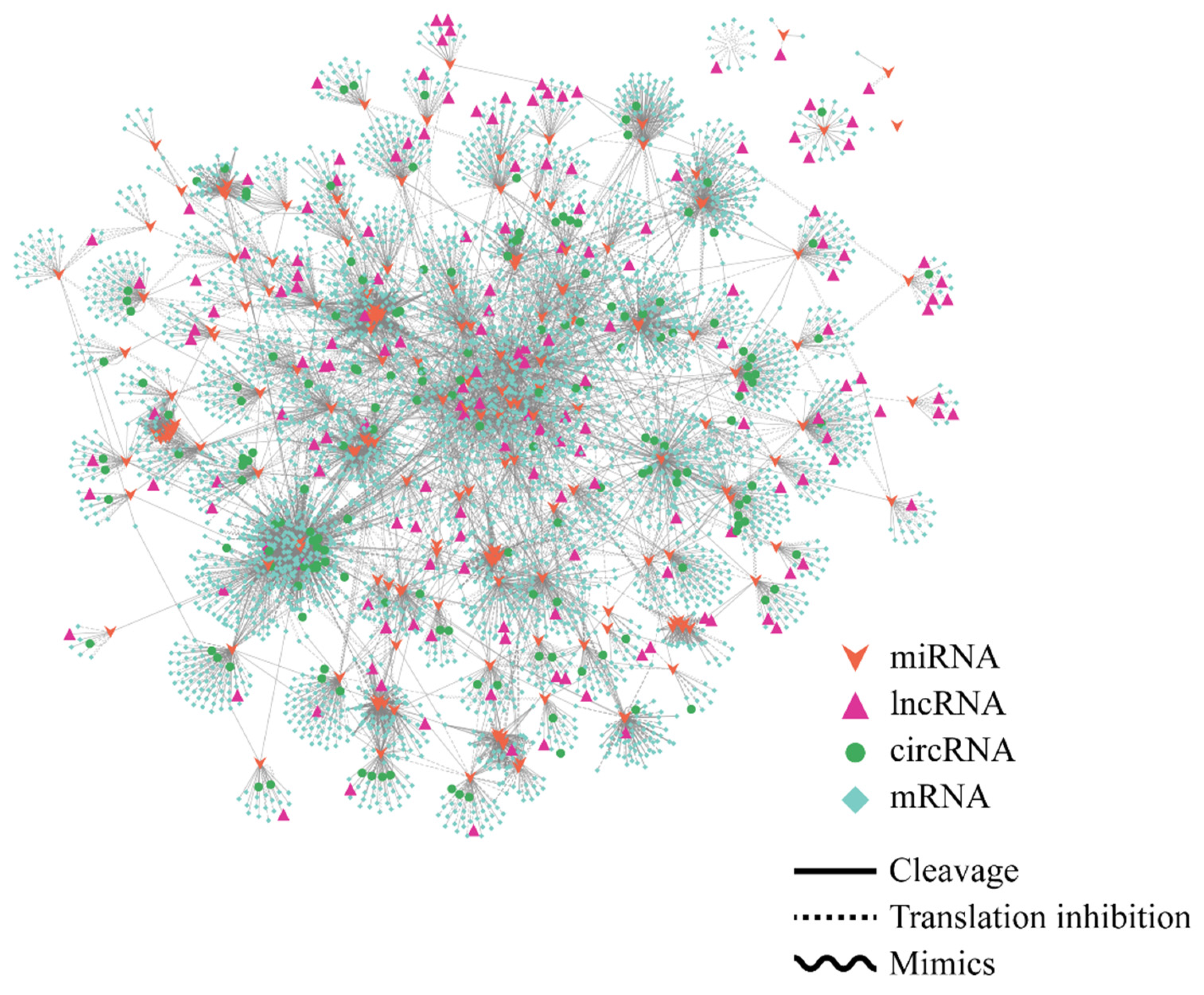 Ijms 24 15039 g009 Ijms 24 15039 g009