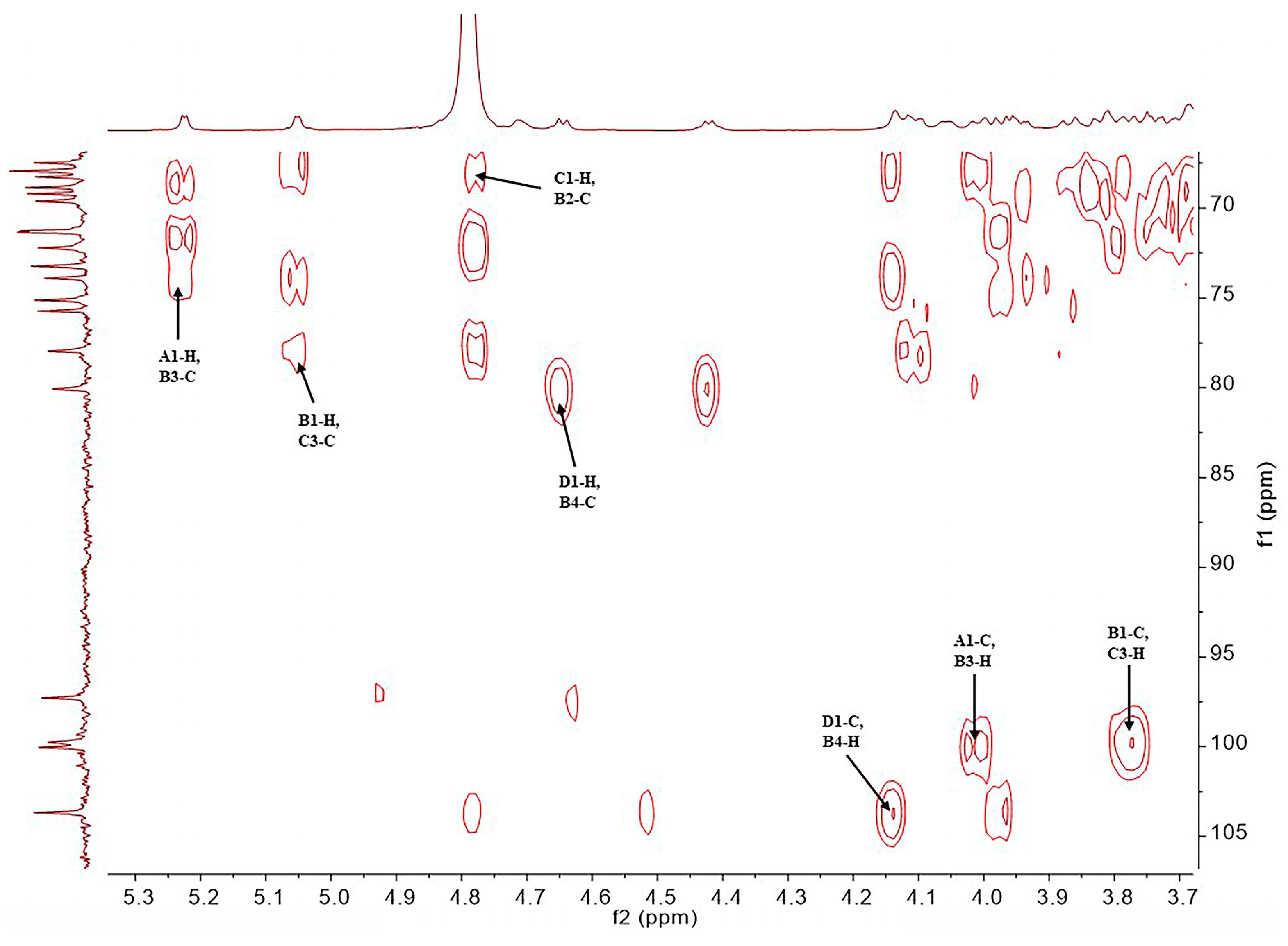 (＊⌒∇⌒o) zxcvcxz | ischi.vezon | Kitty on Fire Records Archive