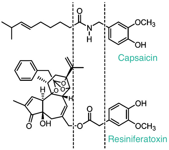 IJMS | Free Full-Text | Resiniferatoxin: Nature’s Precision Medicine to ...