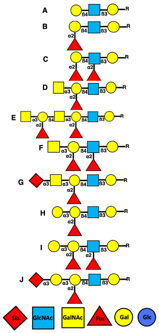 IJMS Free FullText Mechanisms of Formation of Antibodies against