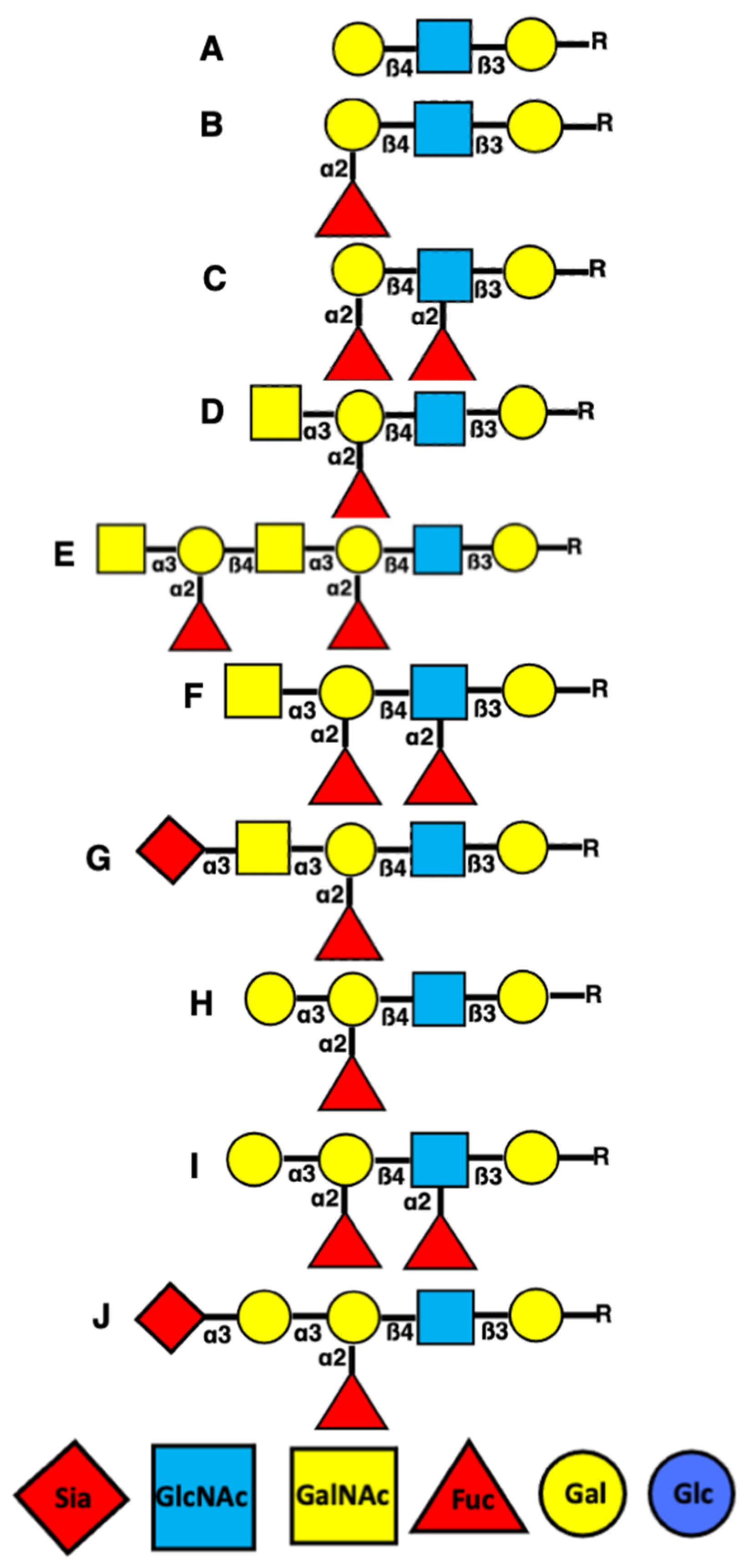 Innovating Science Genetics of Blood Types Using Simulated Blood Kit:Education