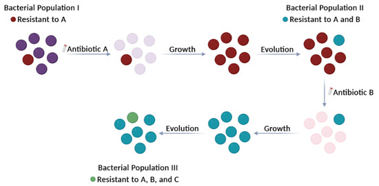 One Earth: The Equilibrium between the Human and the Bacterial Worlds