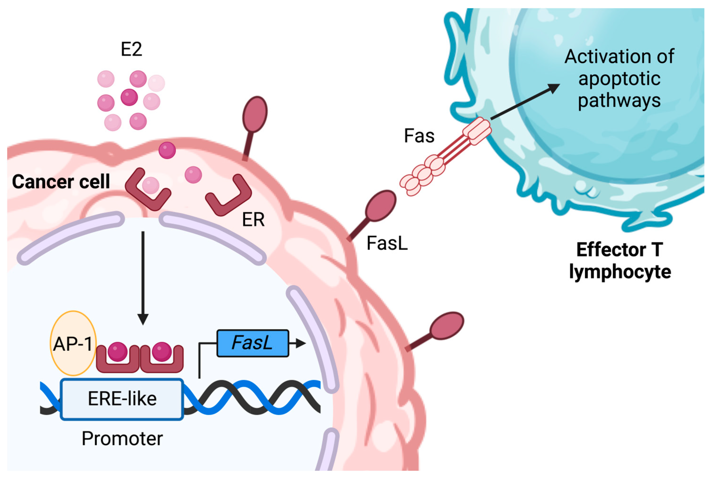 Ijms 24 15048 g003 Ijms 24 15048 g003