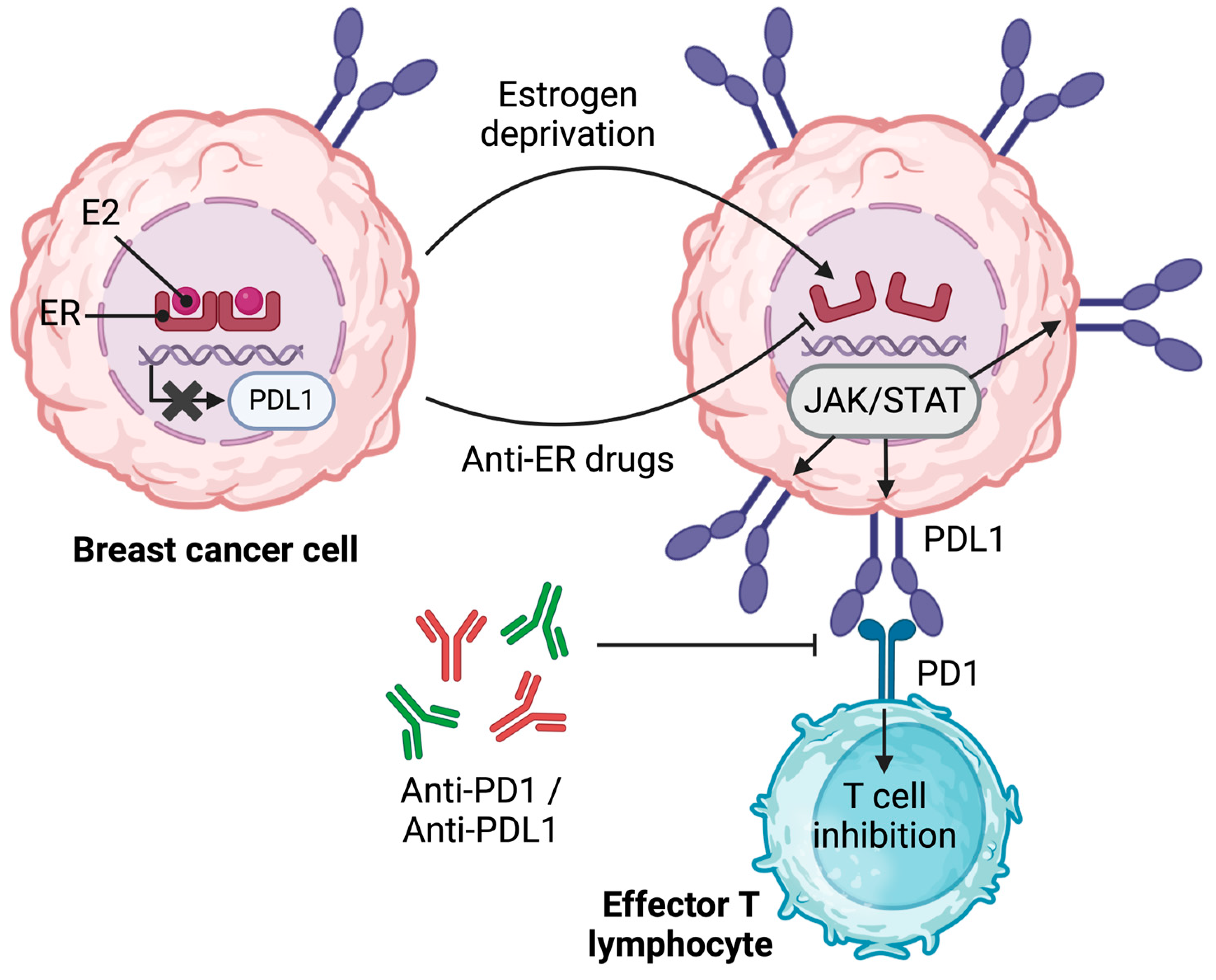 Ijms 24 15048 g004 Ijms 24 15048 g004