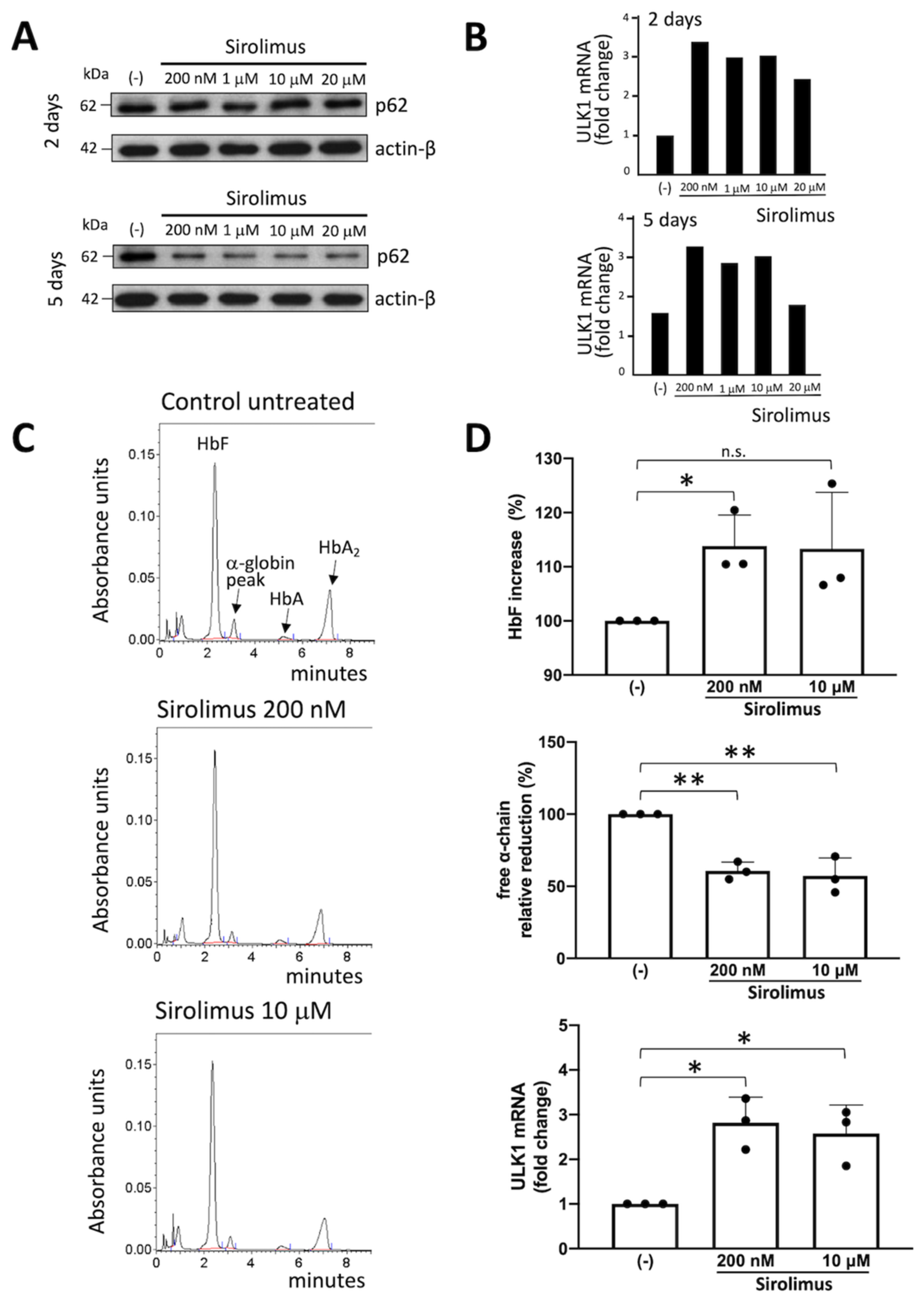 Ijms 24 15049 g002 Ijms 24 15049 g002