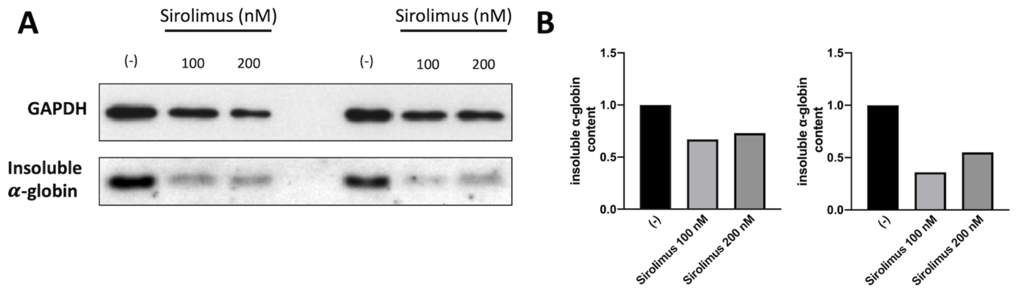 Ijms 24 15049 g003 Ijms 24 15049 g003