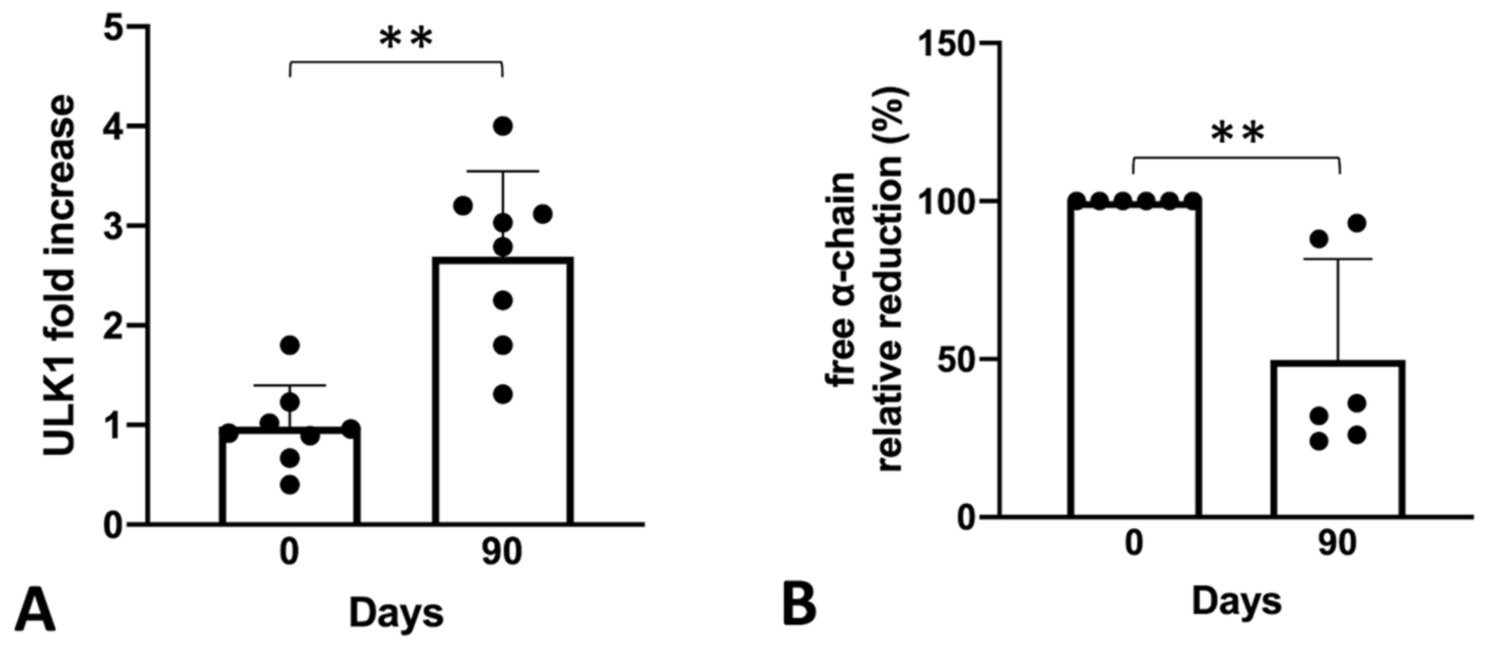 Ijms 24 15049 g005 Ijms 24 15049 g005
