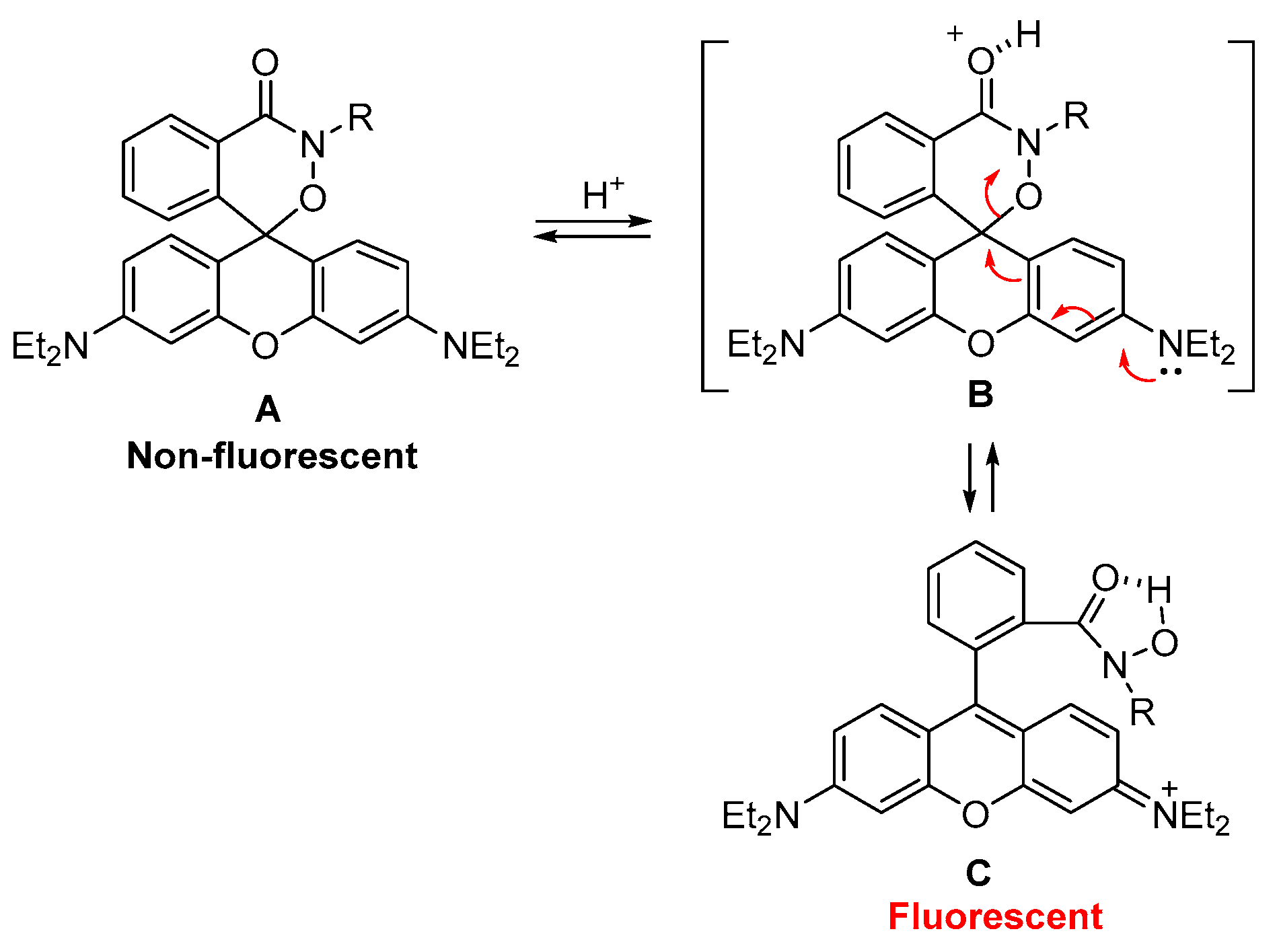 Ijms 24 15073 sch001