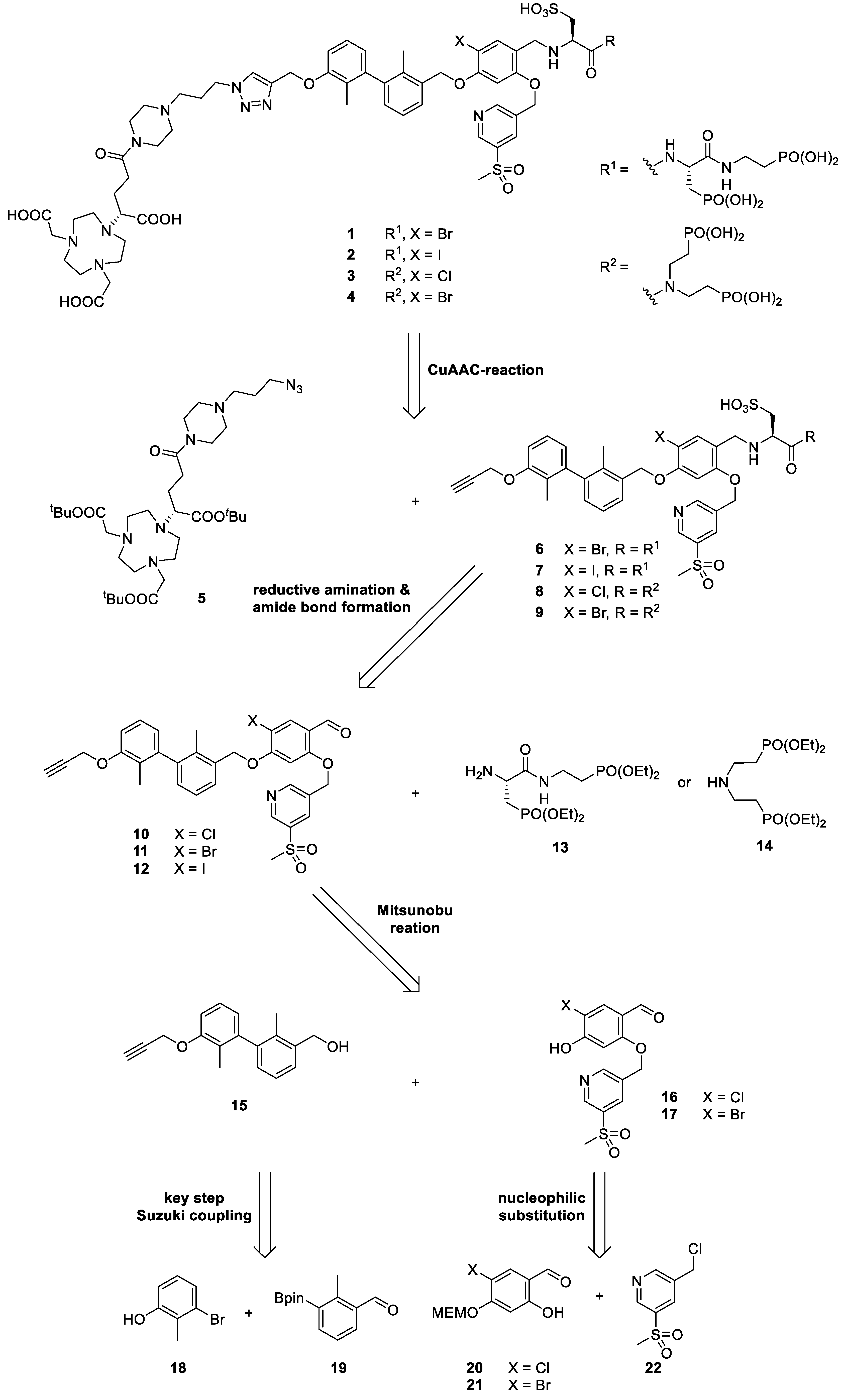Ijms 24 15088 sch001