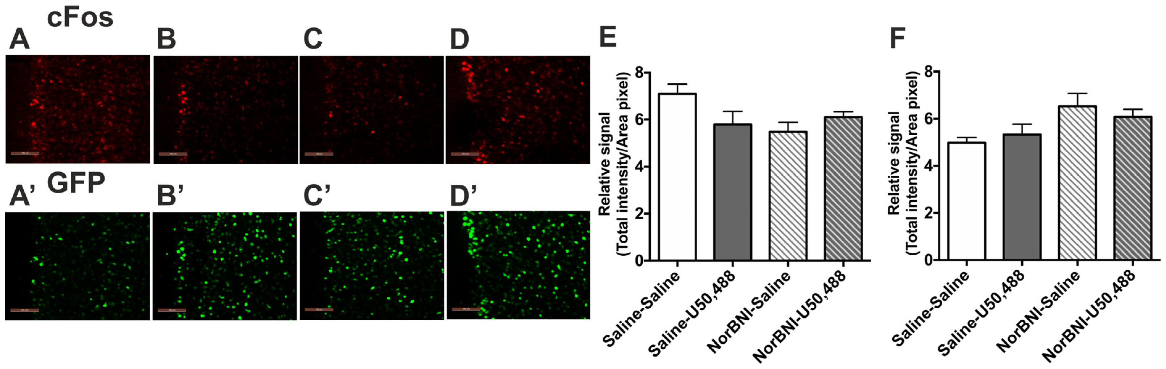 Ijms 24 15098 g002 Ijms 24 15098 g002