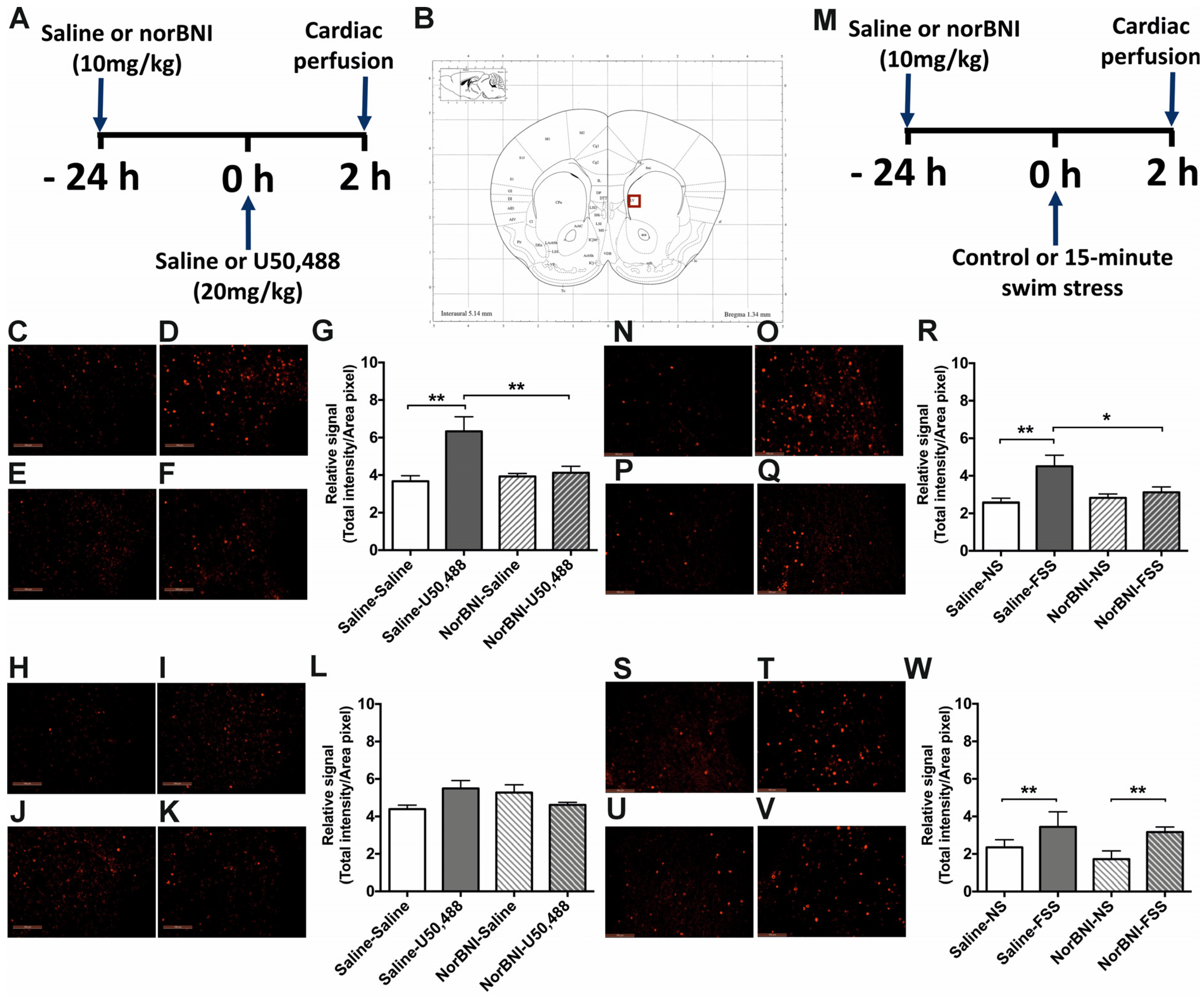 Ijms 24 15098 g005 Ijms 24 15098 g005