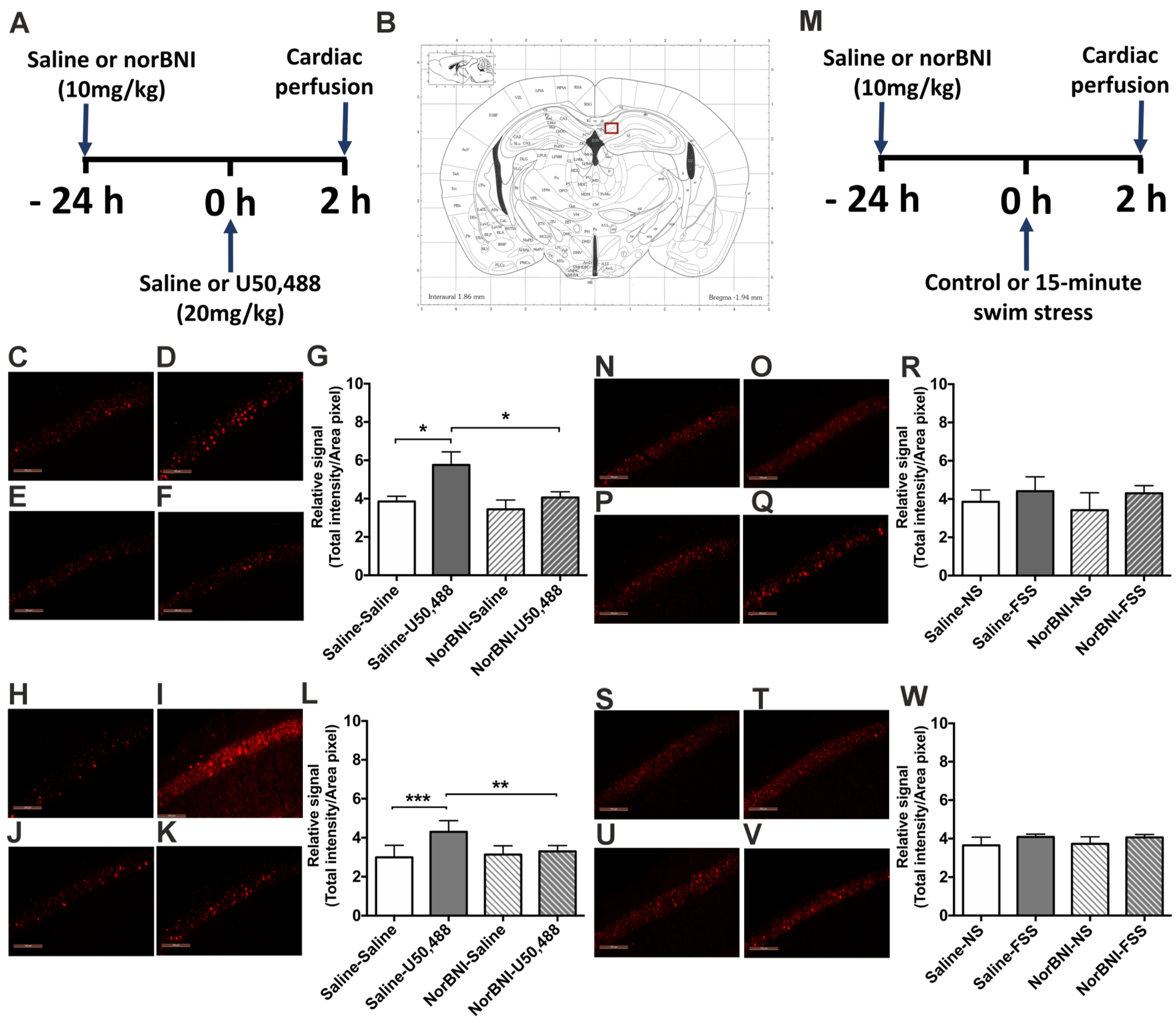 Ijms 24 15098 g006 Ijms 24 15098 g006