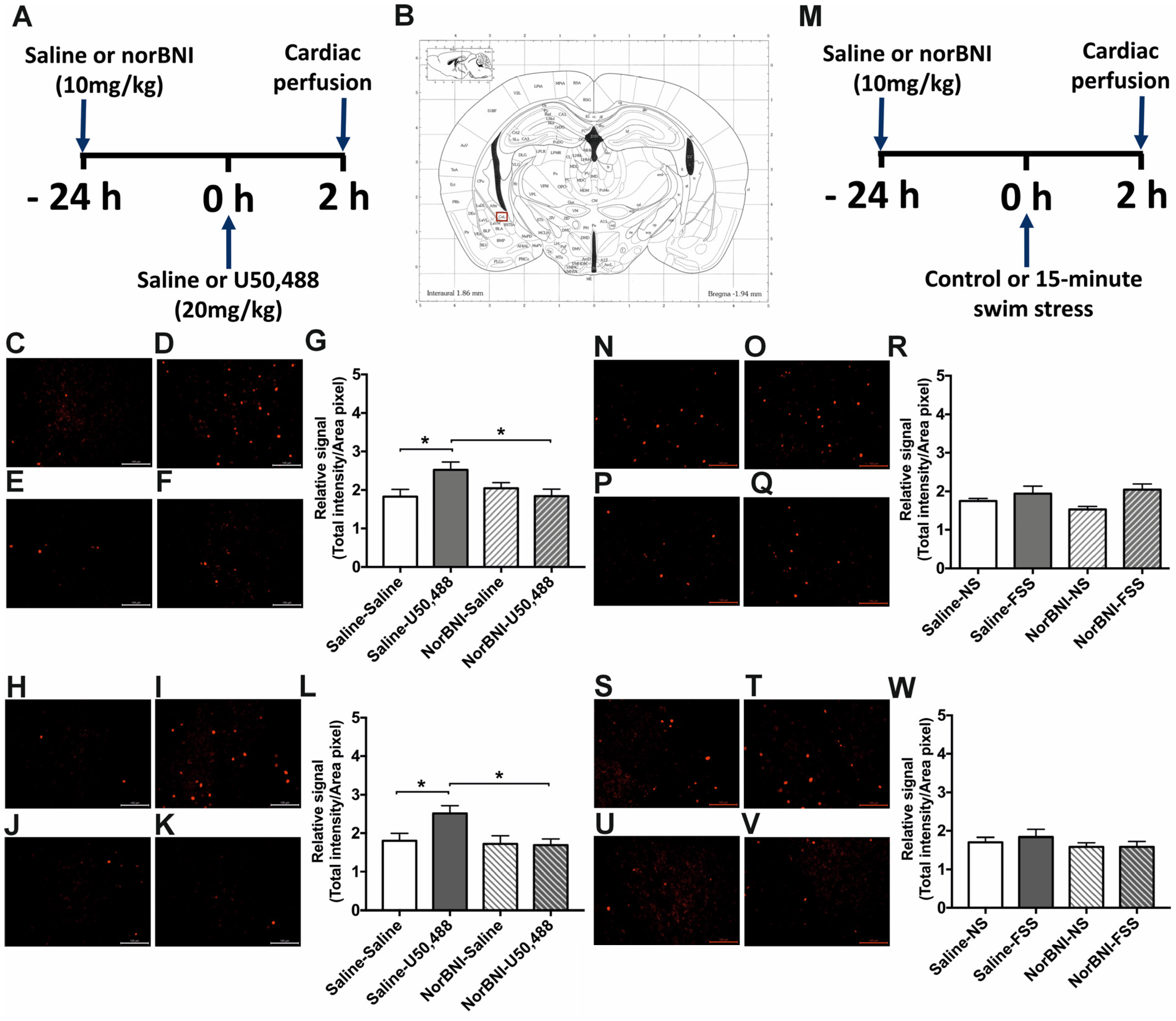 Ijms 24 15098 g007 Ijms 24 15098 g007
