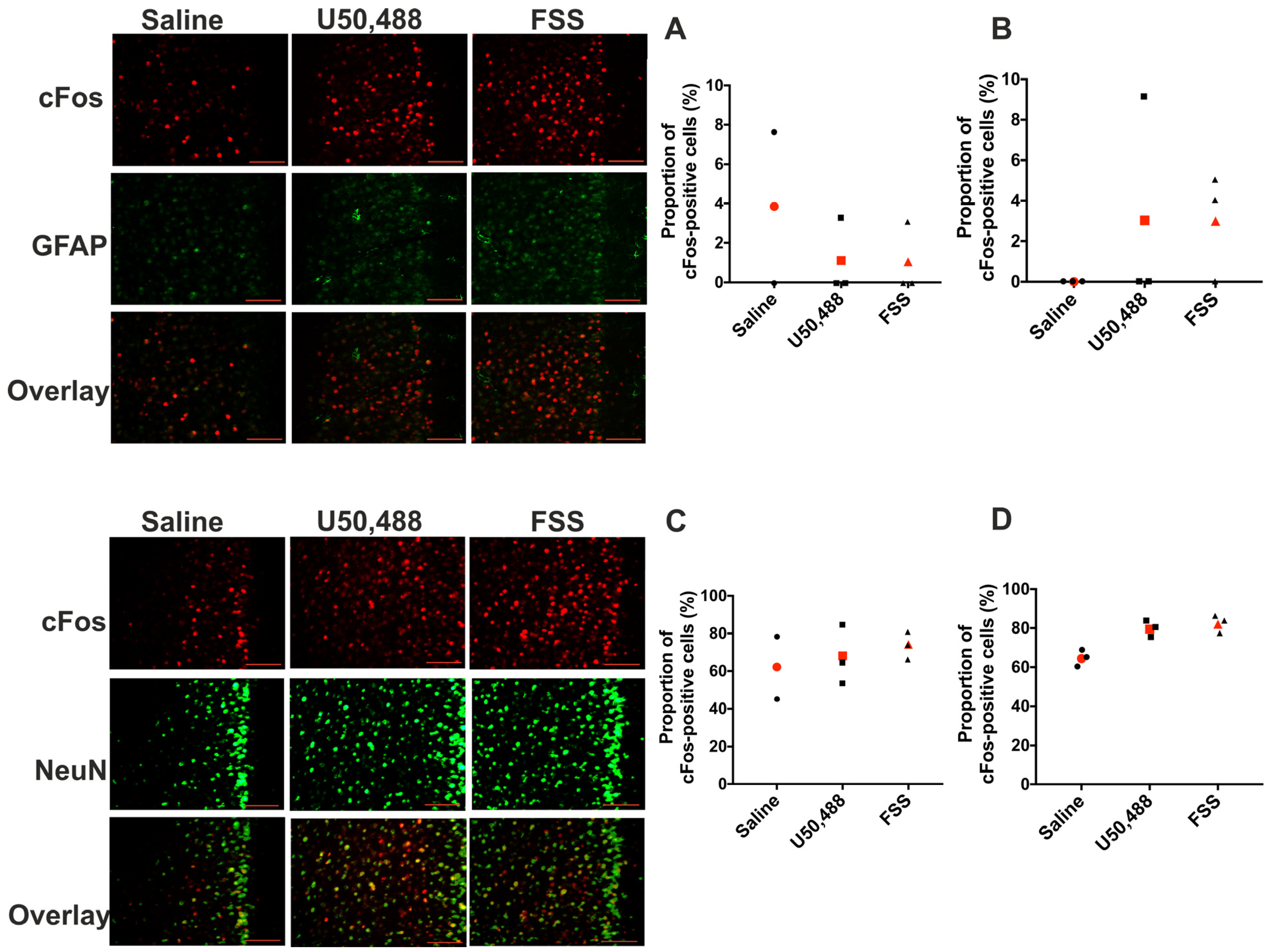 Ijms 24 15098 g008 Ijms 24 15098 g008
