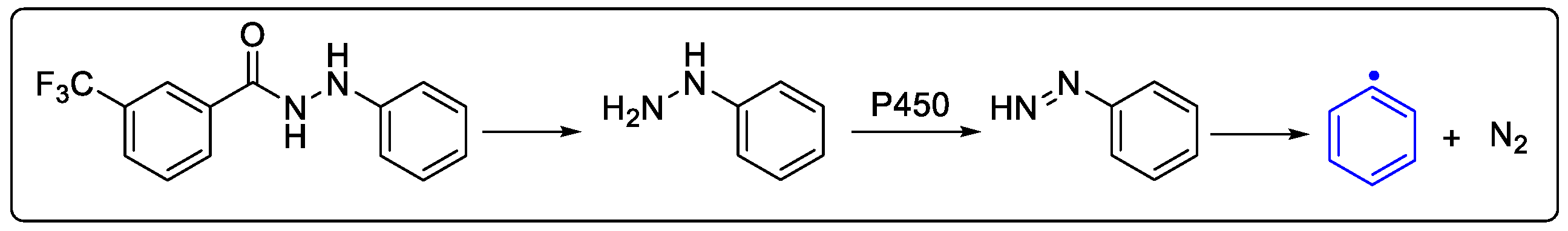 Ijms 24 15120 g008 Ijms 24 15120 g008