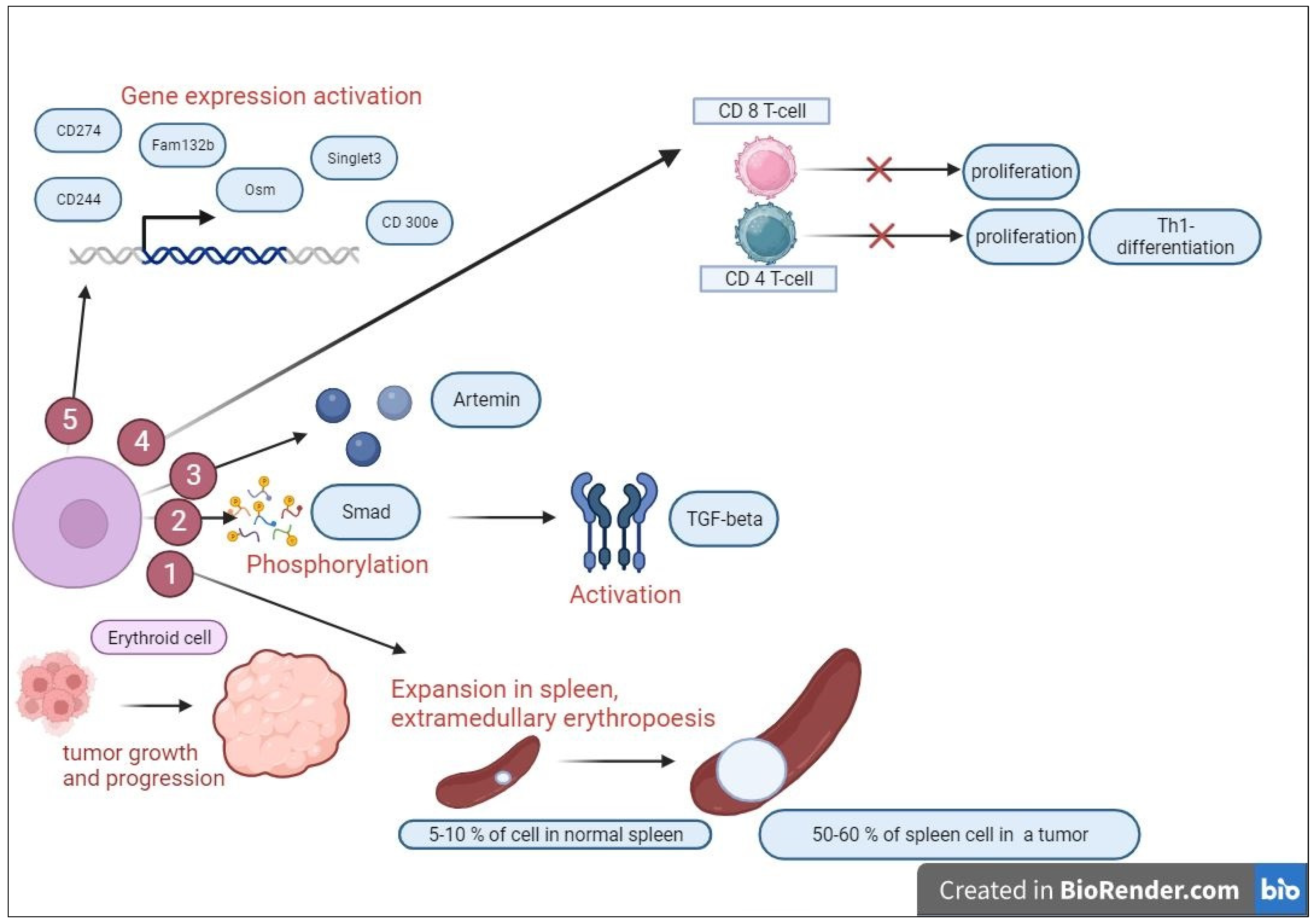 Ijms 24 15141 g001 Ijms 24 15141 g001
