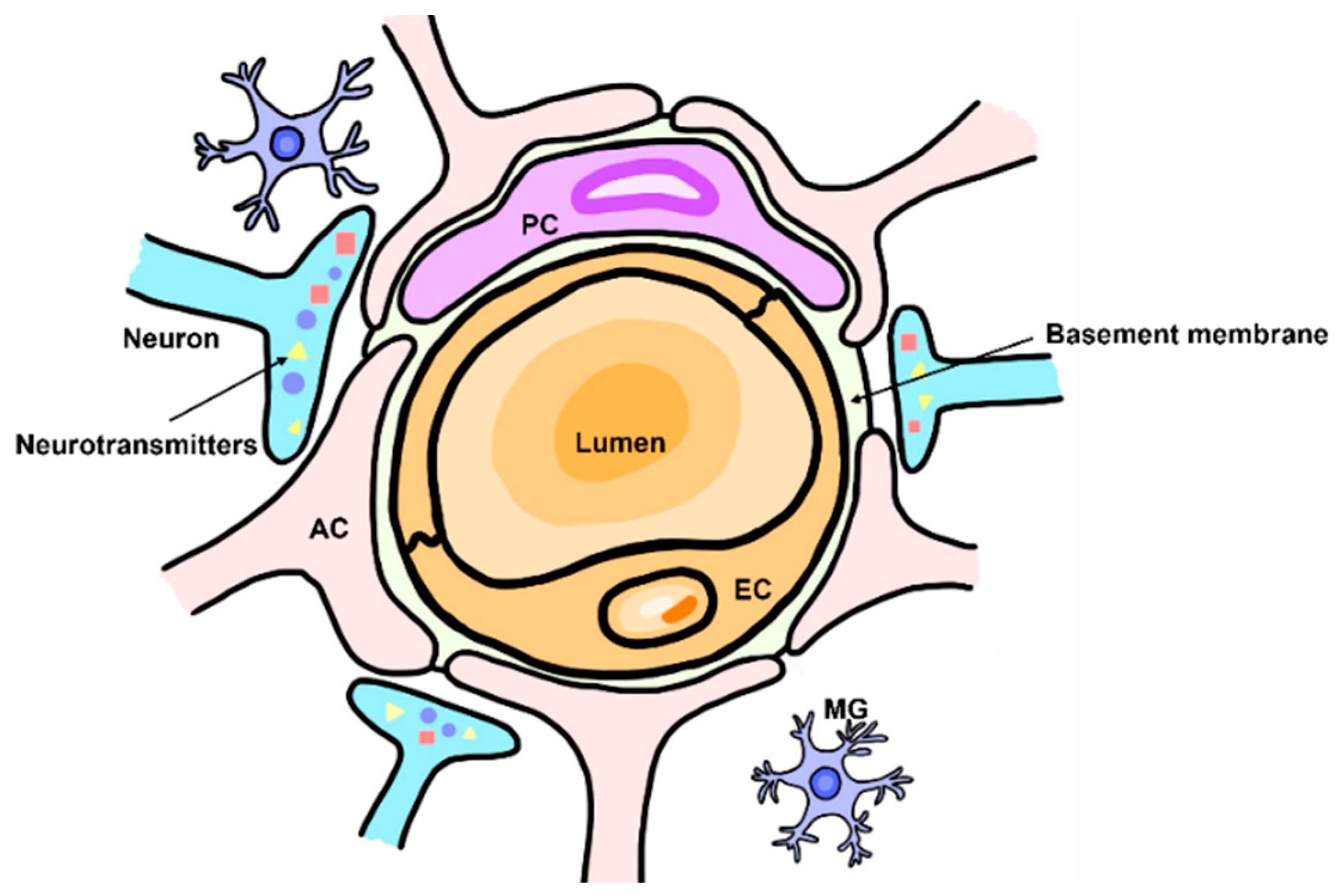 Ijms 24 15154 g001 Ijms 24 15154 g001