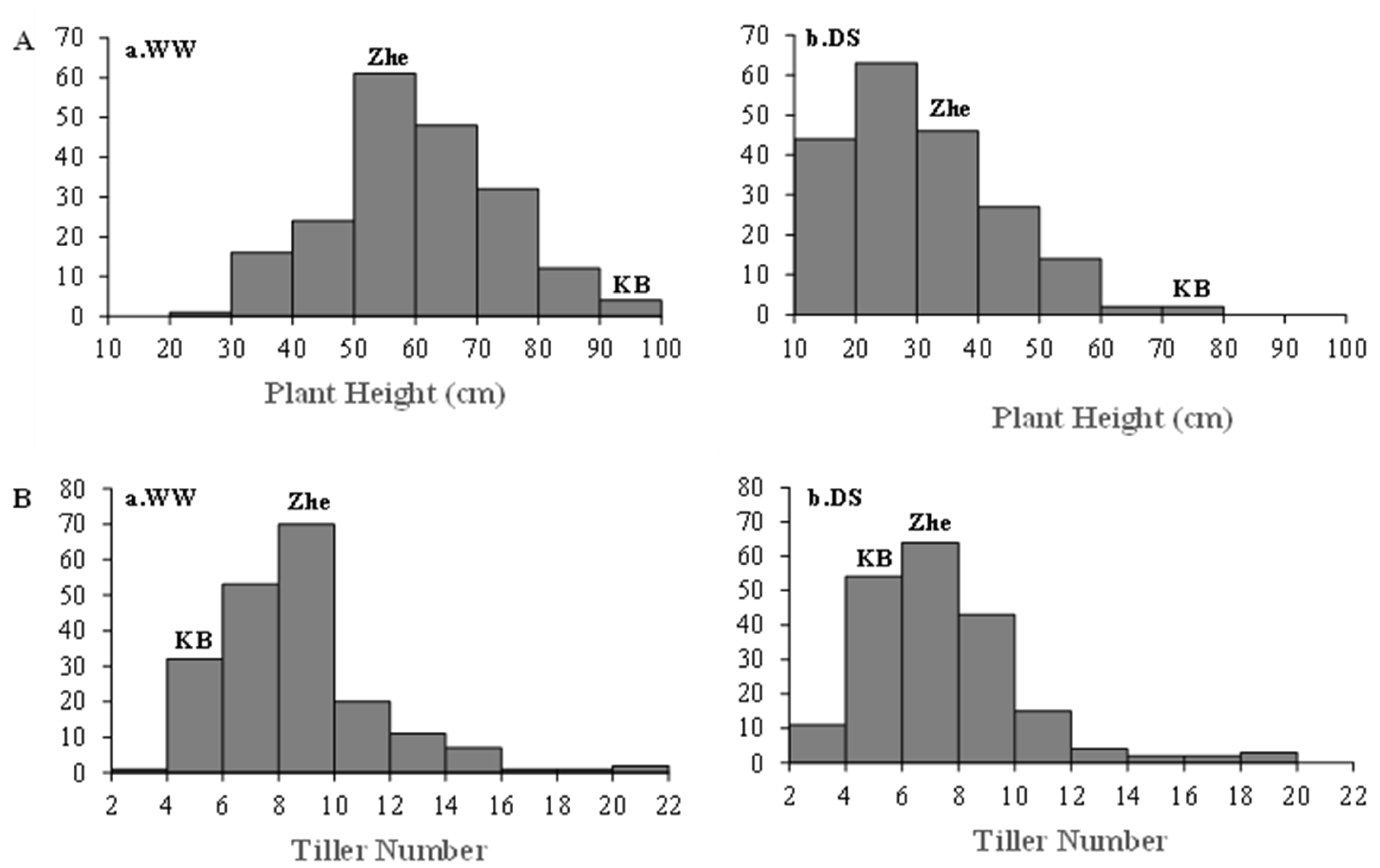 Ijms 24 15167 g003 Ijms 24 15167 g003