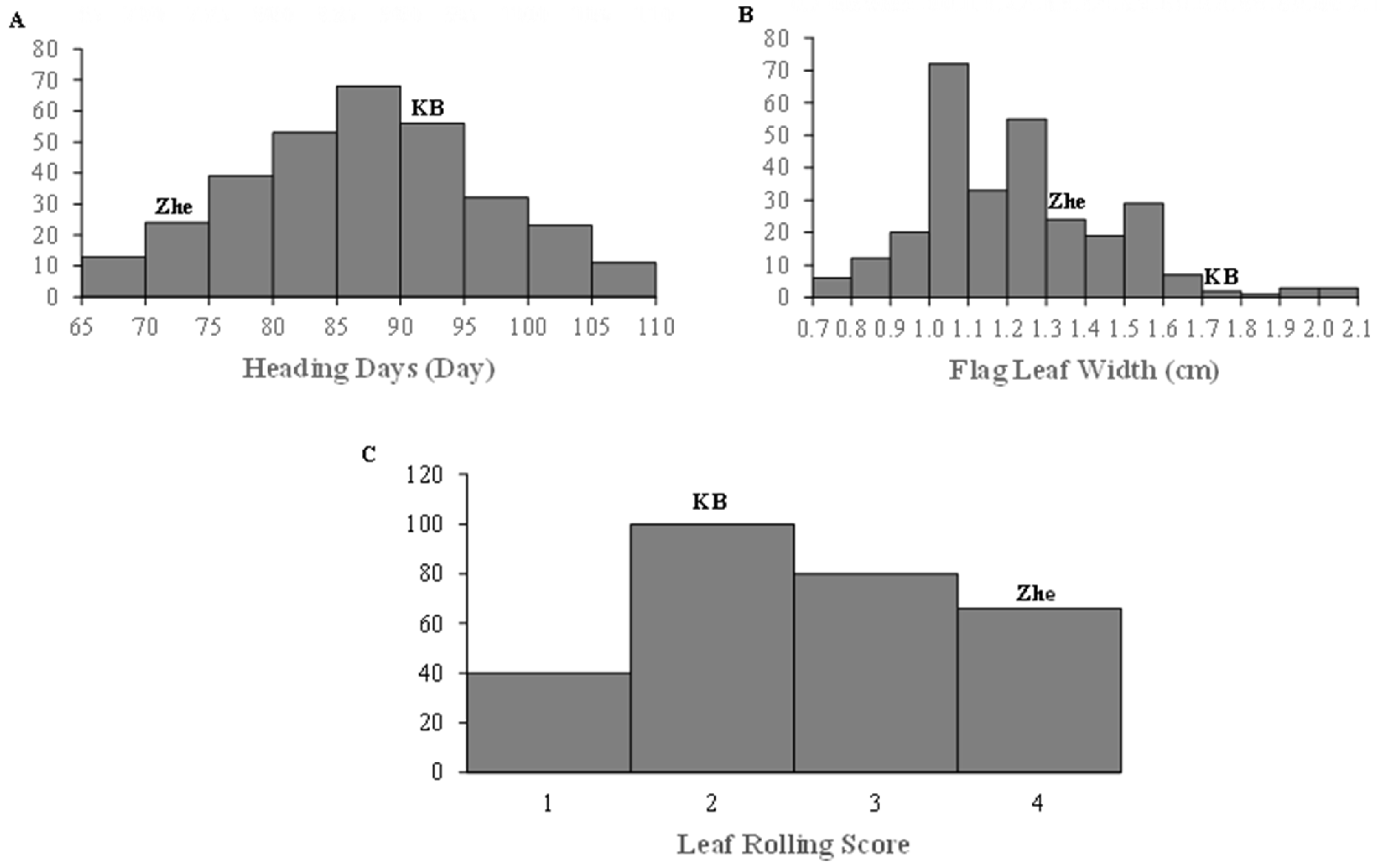 Ijms 24 15167 g004 Ijms 24 15167 g004