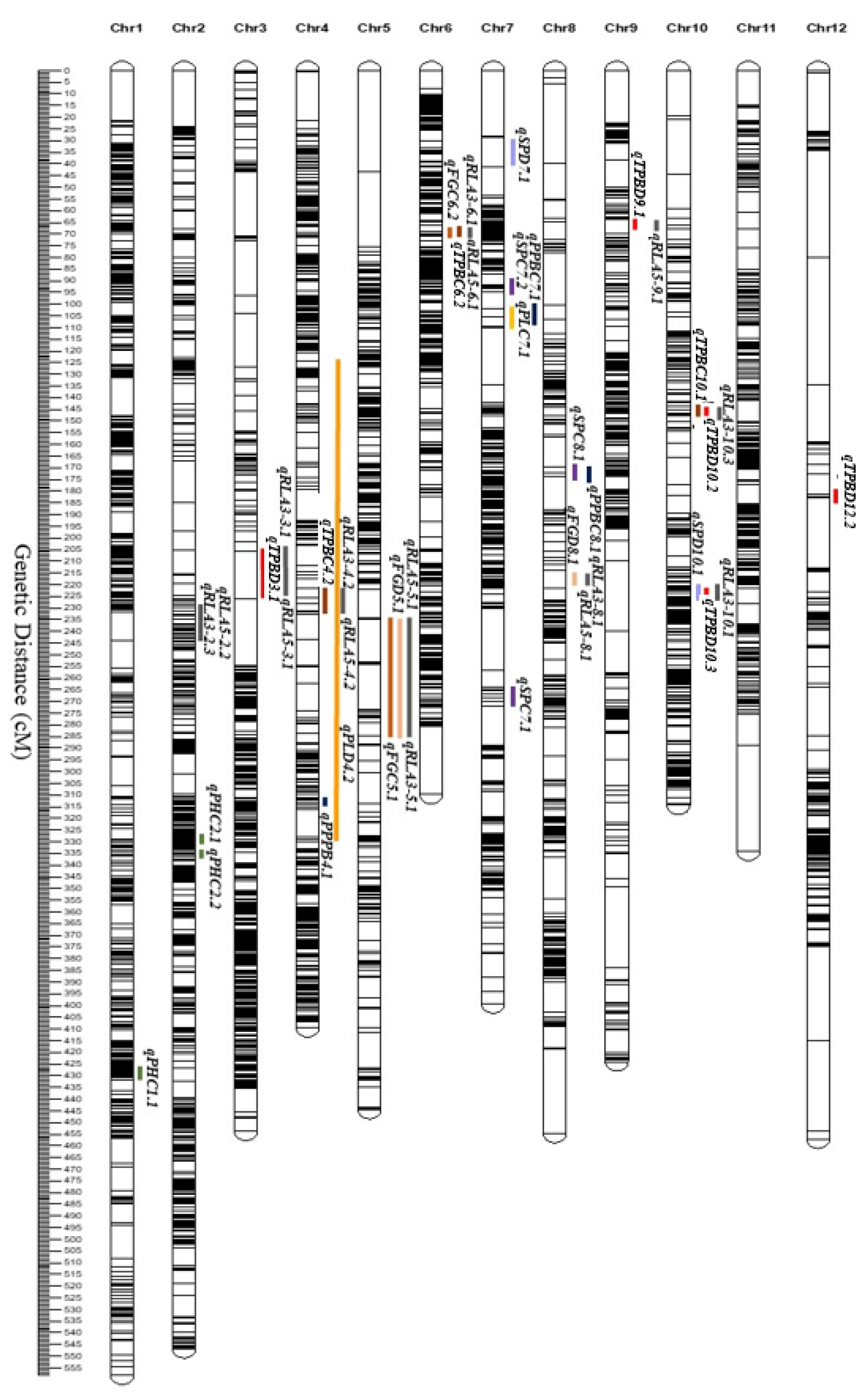 Ijms 24 15167 g006 Ijms 24 15167 g006
