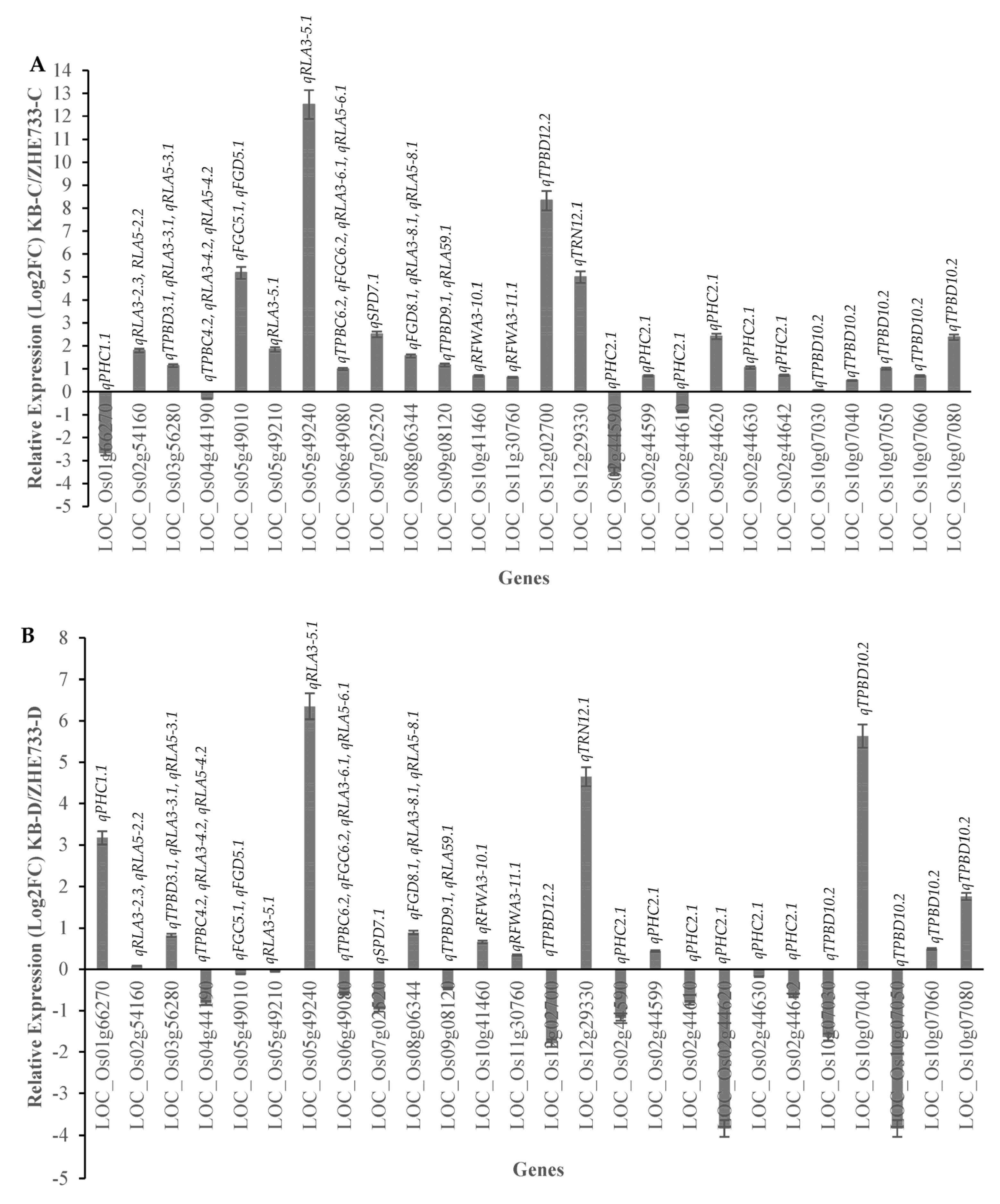 Ijms 24 15167 g007 Ijms 24 15167 g007