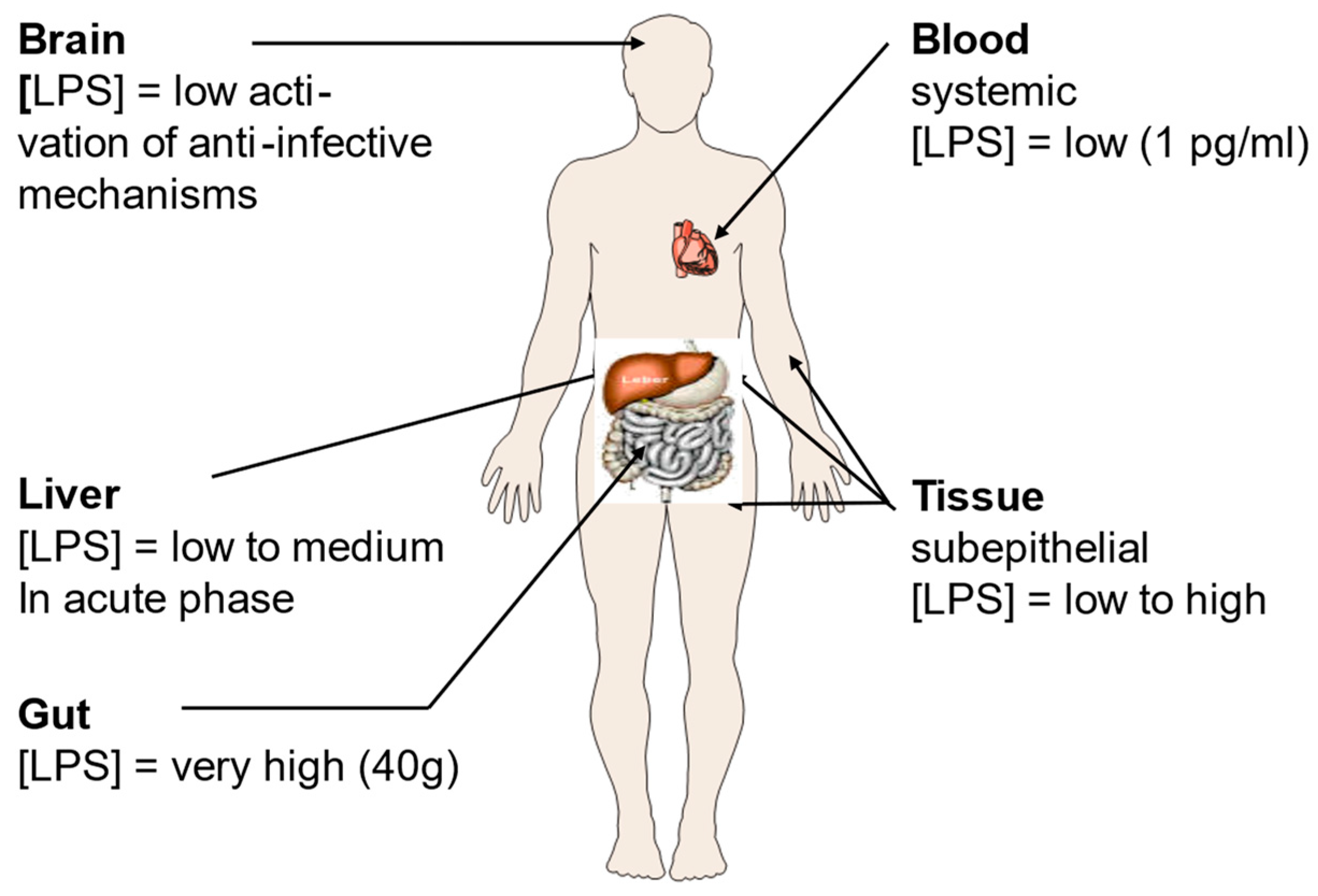 Ijms 24 15169 g001 Ijms 24 15169 g001