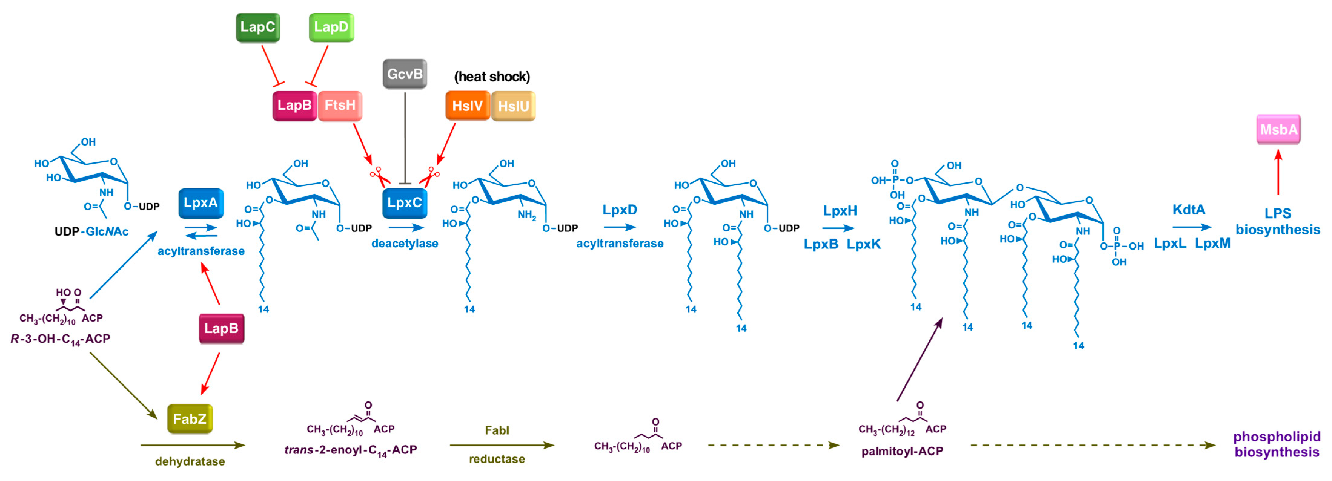Ijms 24 15174 g001 Ijms 24 15174 g001