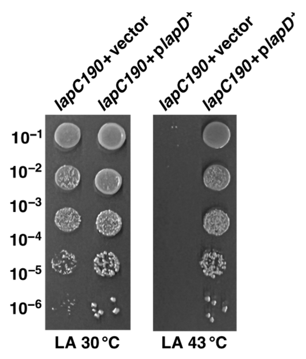 Ijms 24 15174 g004 Ijms 24 15174 g004